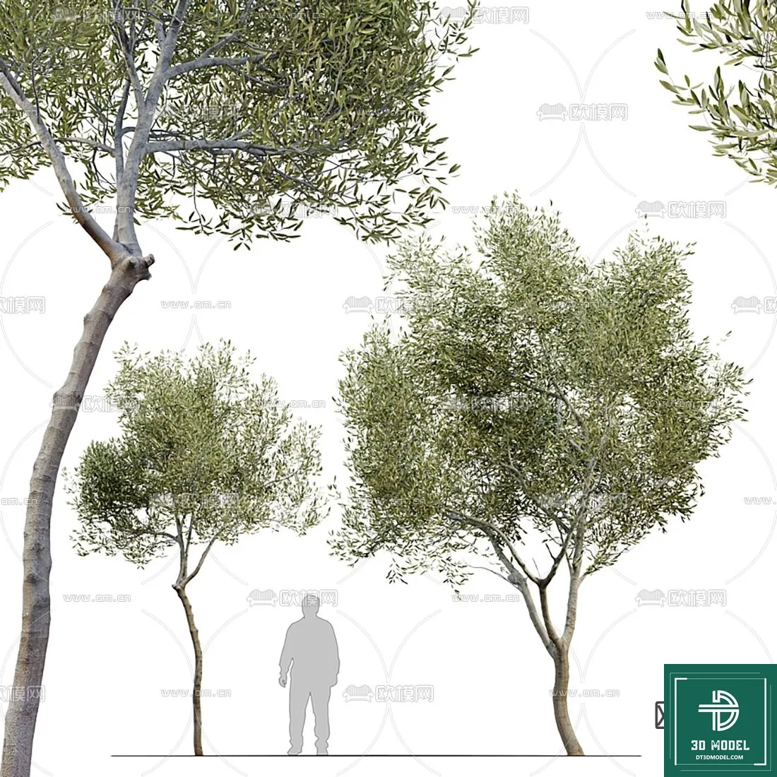 Tree 3D Models – Exterior and Architecture 3DS Max – 027