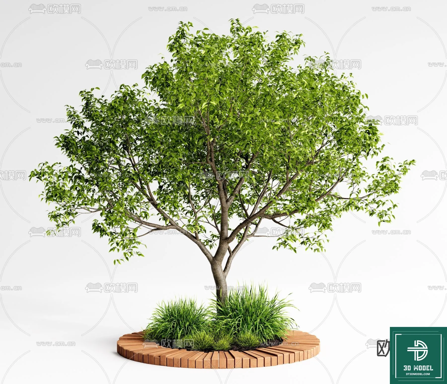 Tree 3D Models – Exterior and Architecture 3DS Max – 030