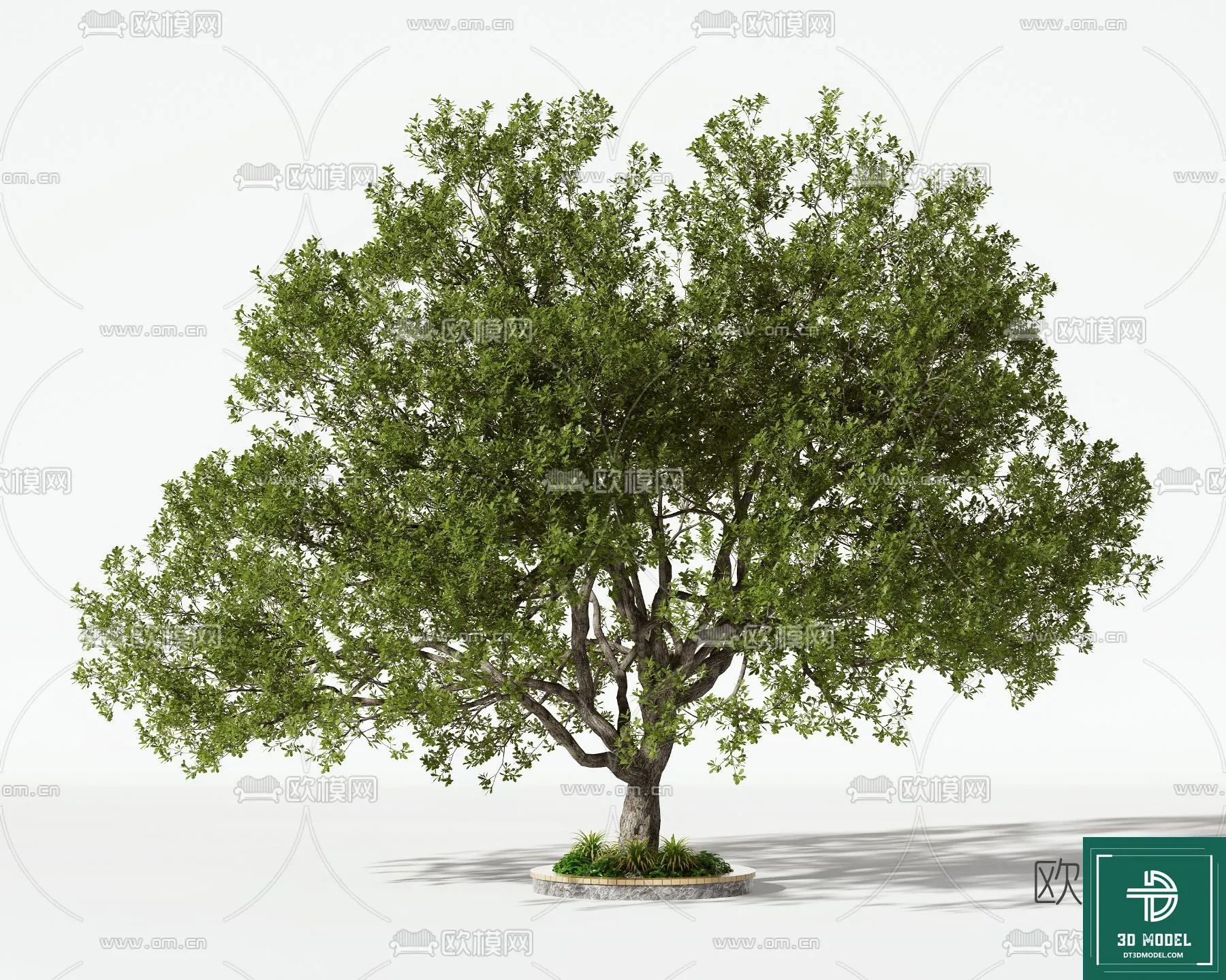 Tree 3D Models – Exterior and Architecture 3DS Max – 032