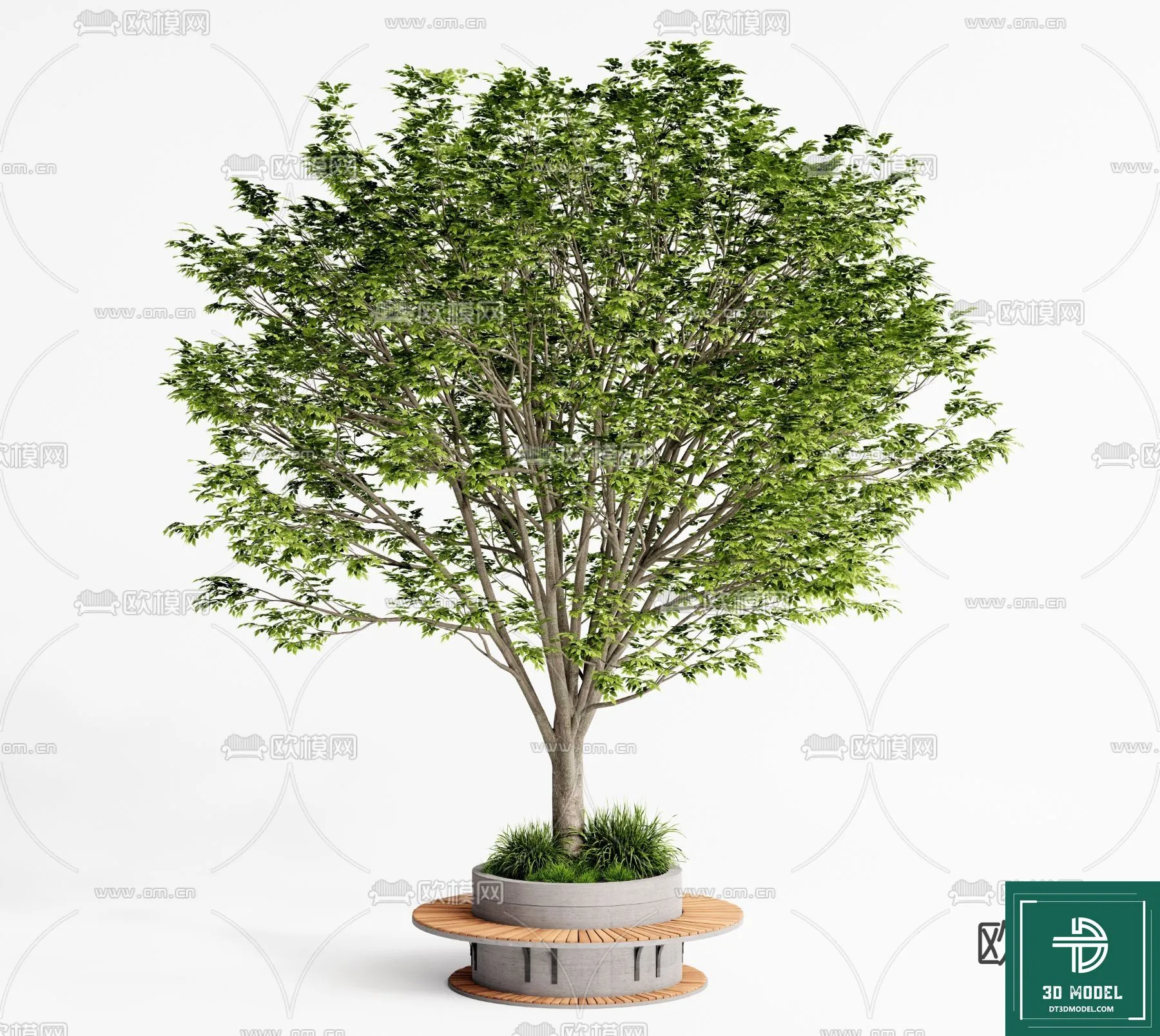 Tree 3D Models – Exterior and Architecture 3DS Max – 036