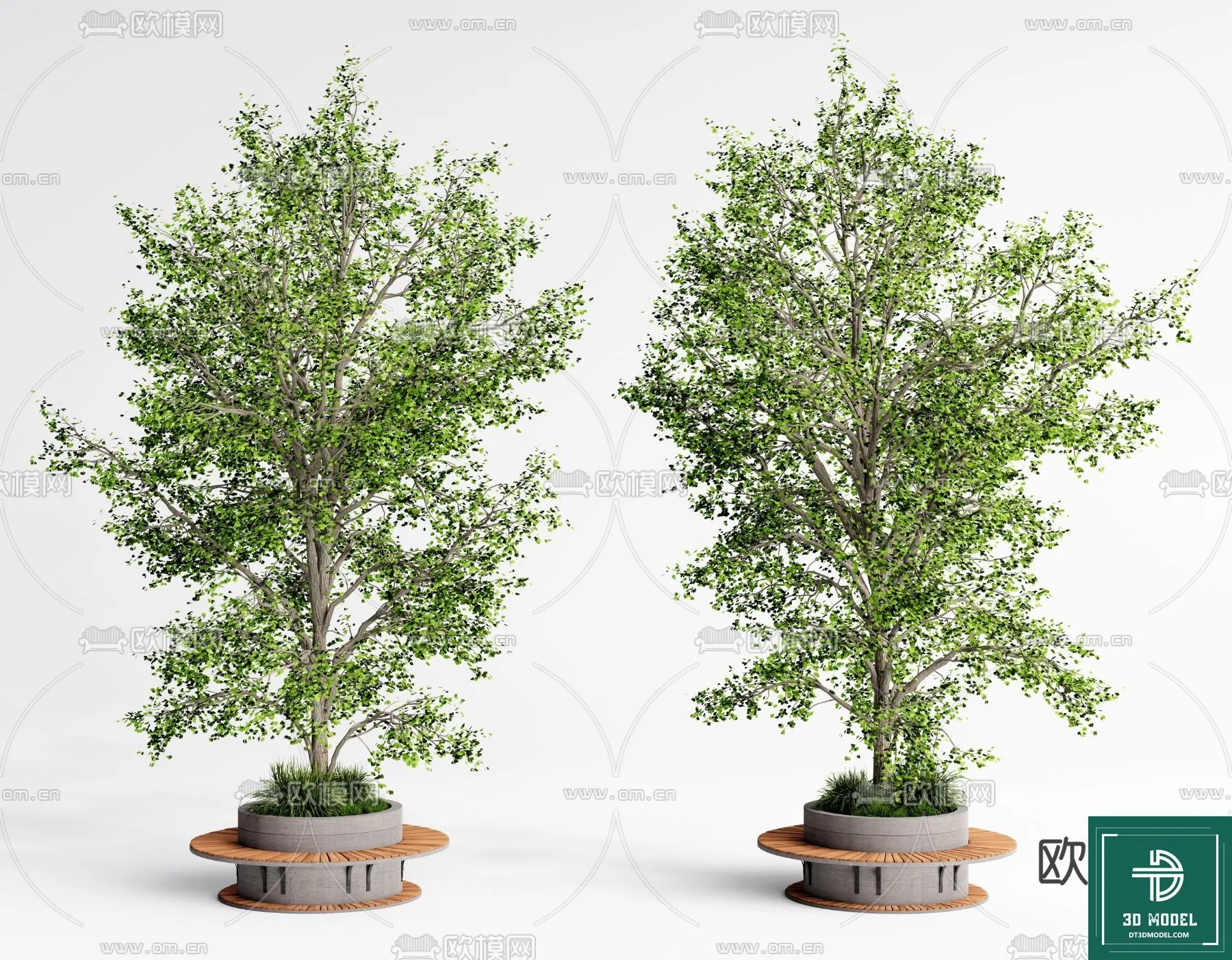 Tree 3D Models – Exterior and Architecture 3DS Max – 039