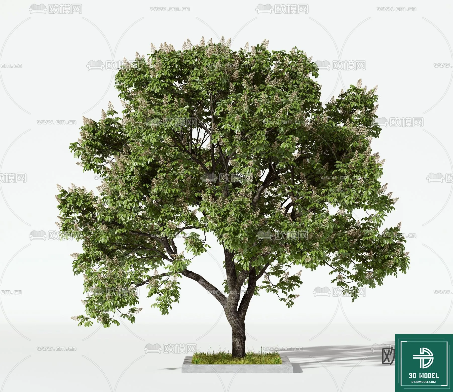 Tree 3D Models – Exterior and Architecture 3DS Max – 041