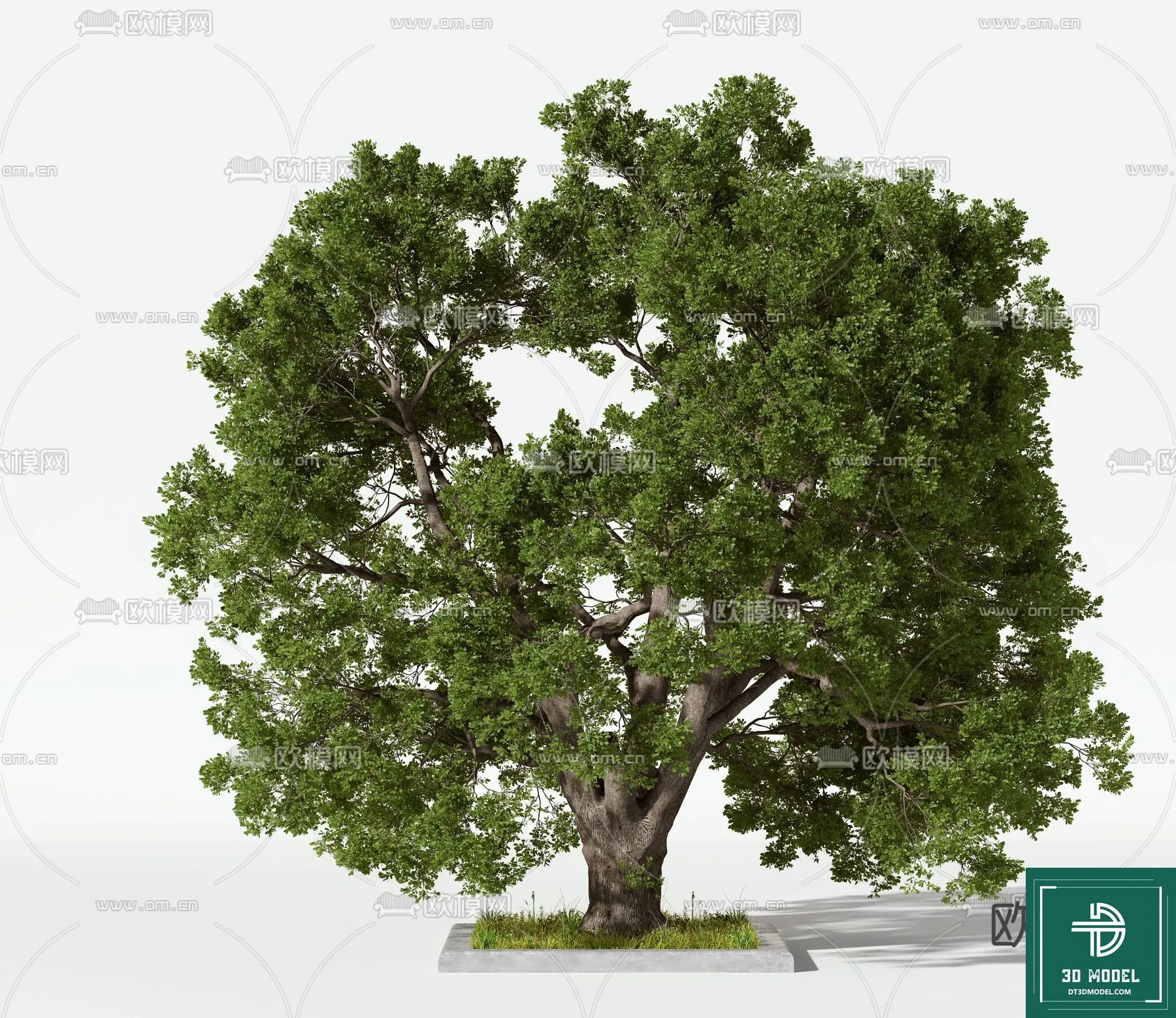 Tree 3D Models – Exterior and Architecture 3DS Max – 042