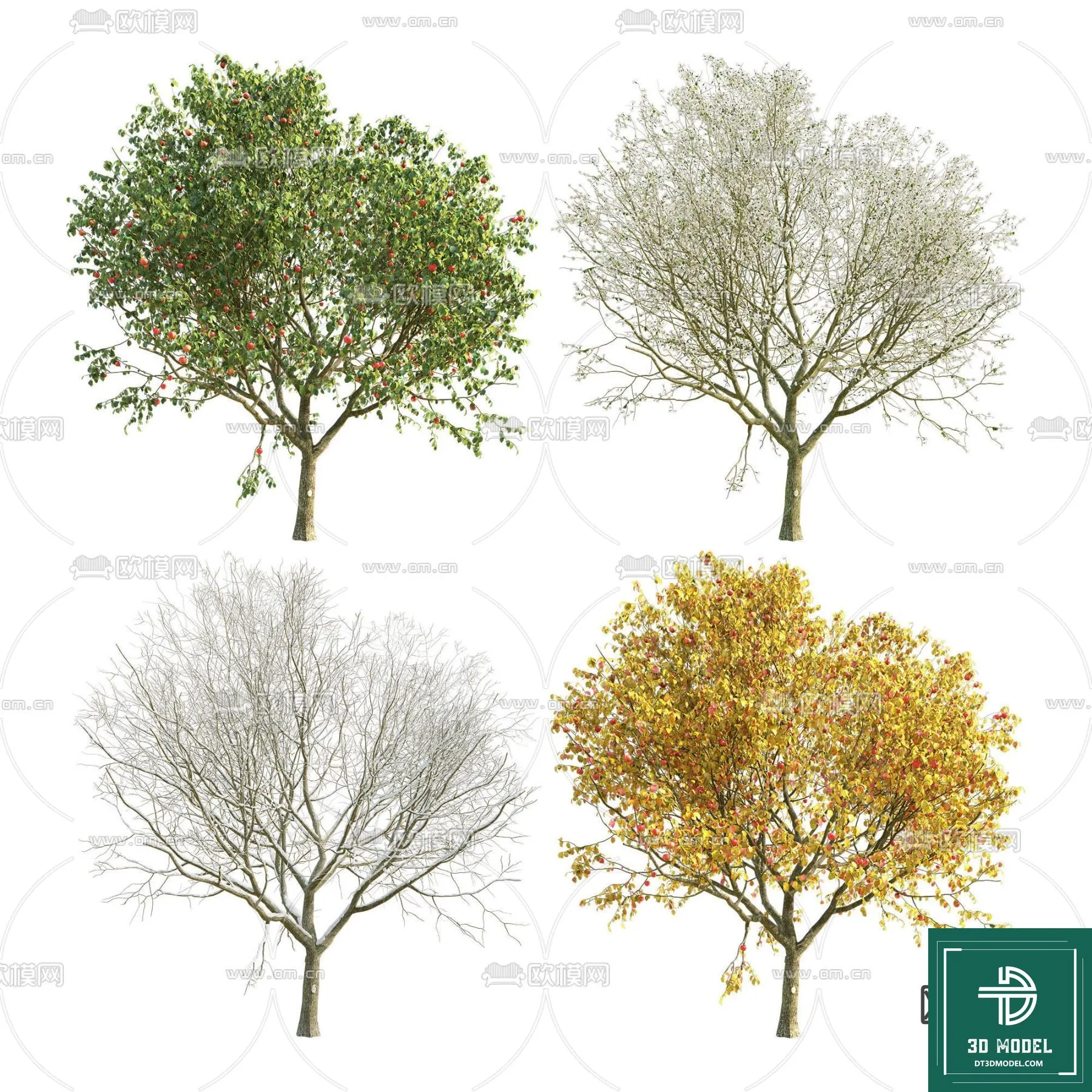 Tree 3D Models – Exterior and Architecture 3DS Max – 044