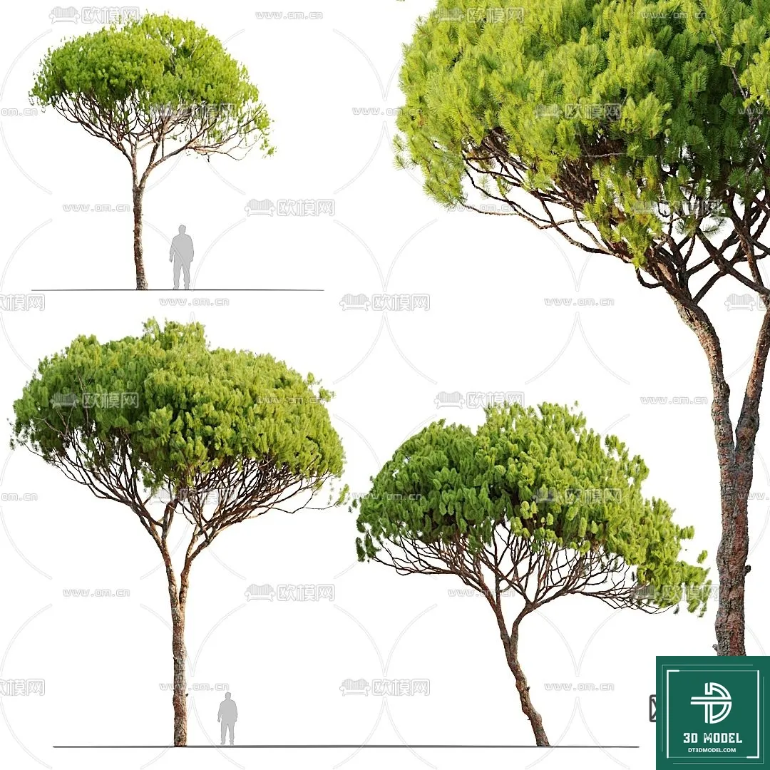 Tree 3D Models – Exterior and Architecture 3DS Max – 056