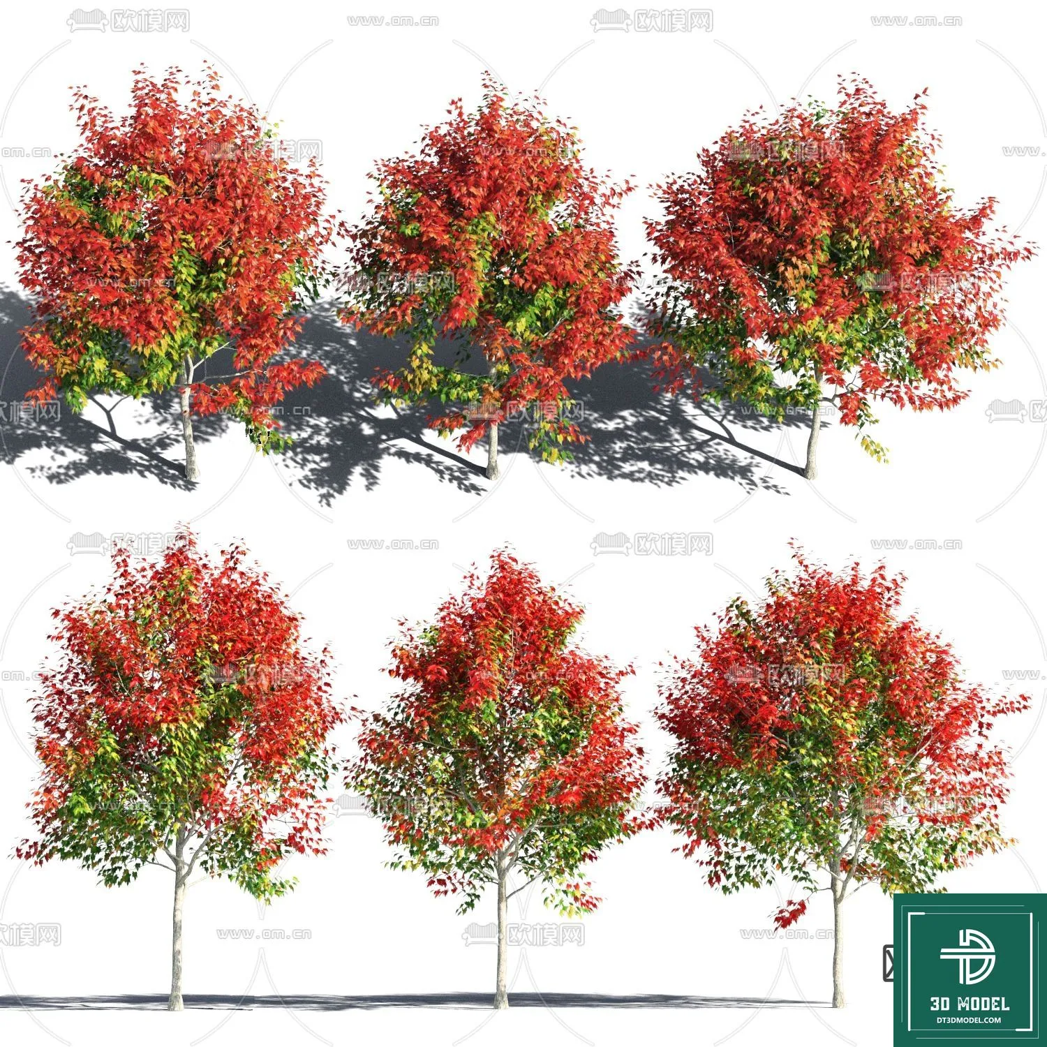 Tree 3D Models – Exterior and Architecture 3DS Max – 057