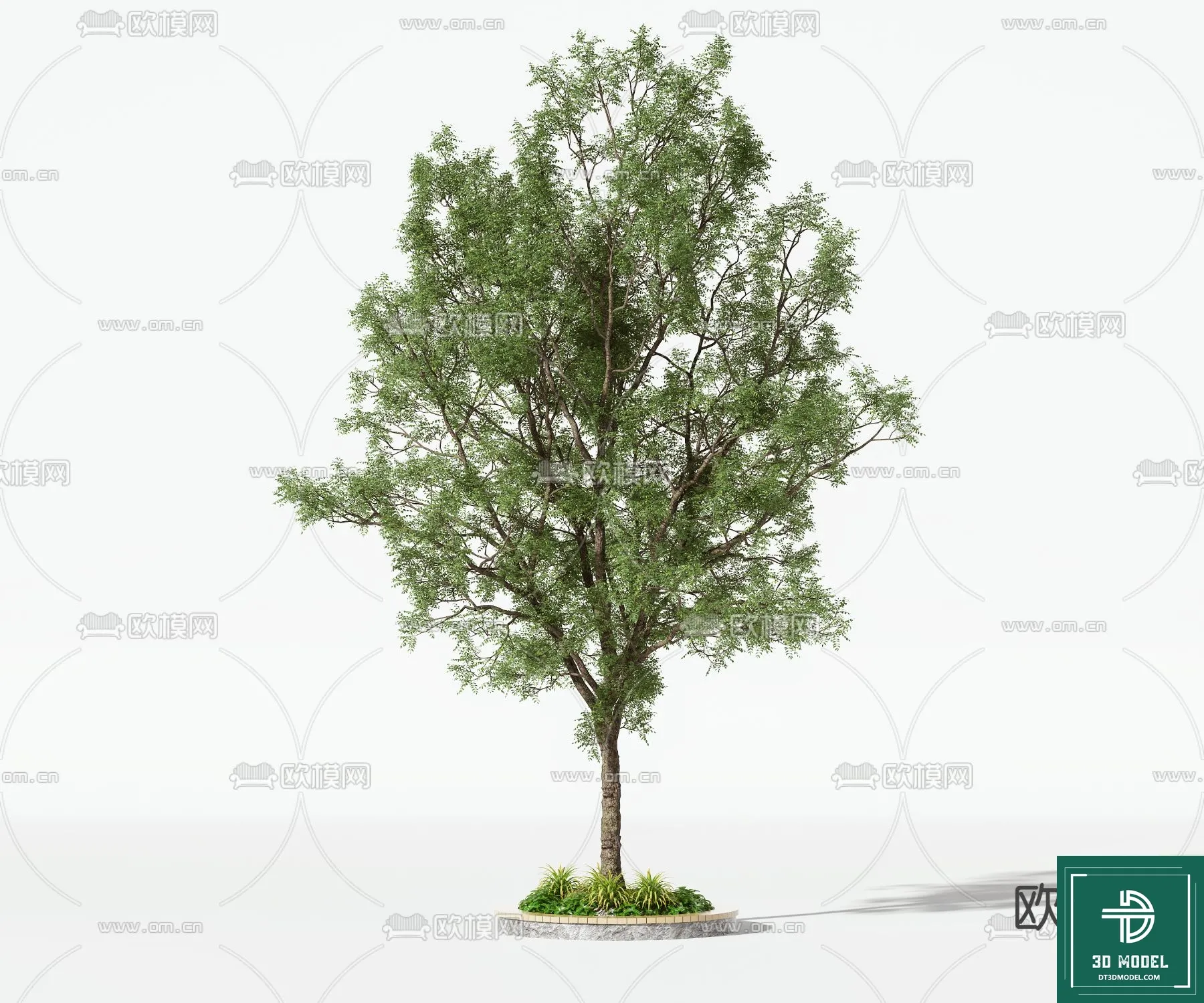 Tree 3D Models – Exterior and Architecture 3DS Max – 061