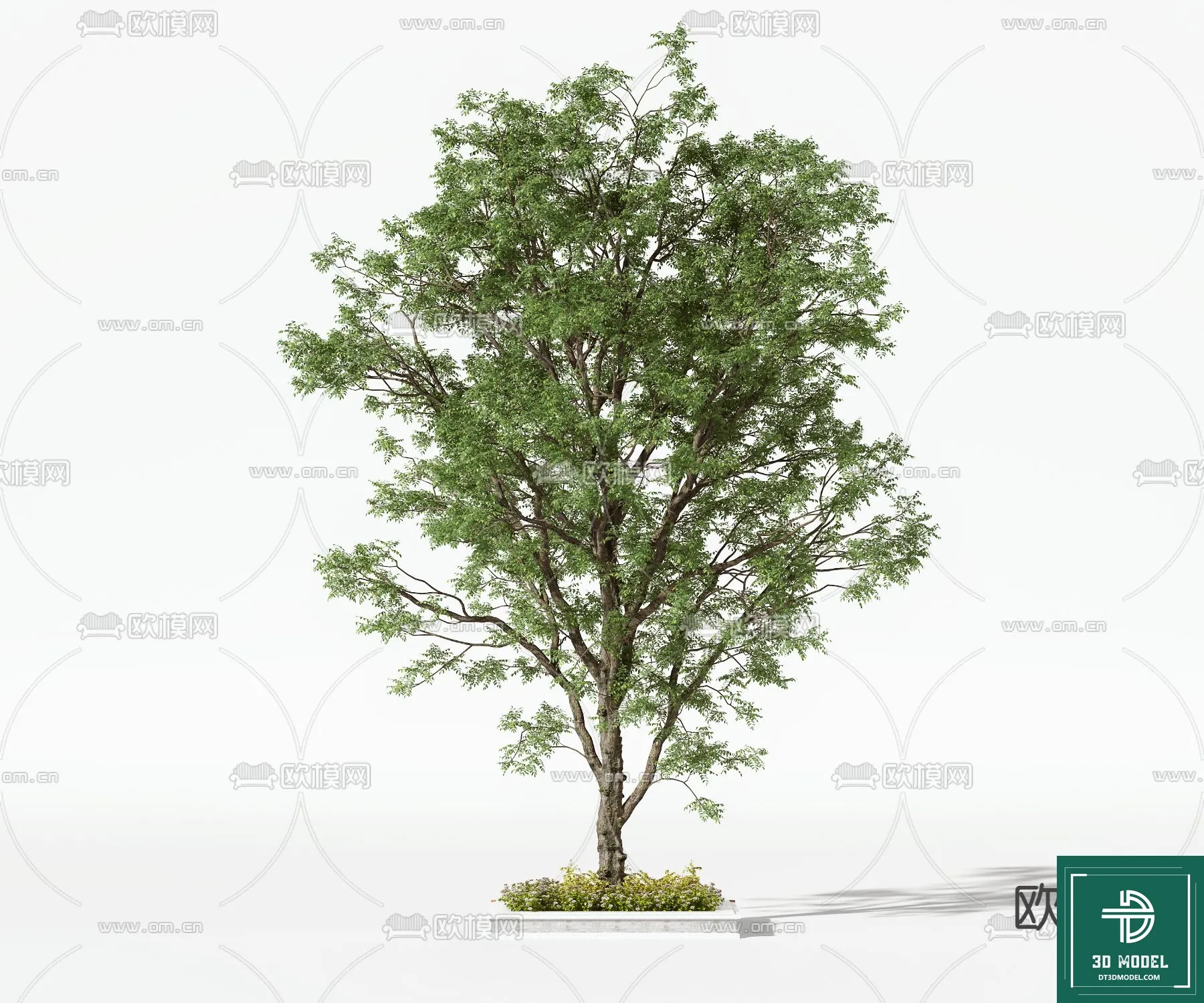 Tree 3D Models – Exterior and Architecture 3DS Max – 062