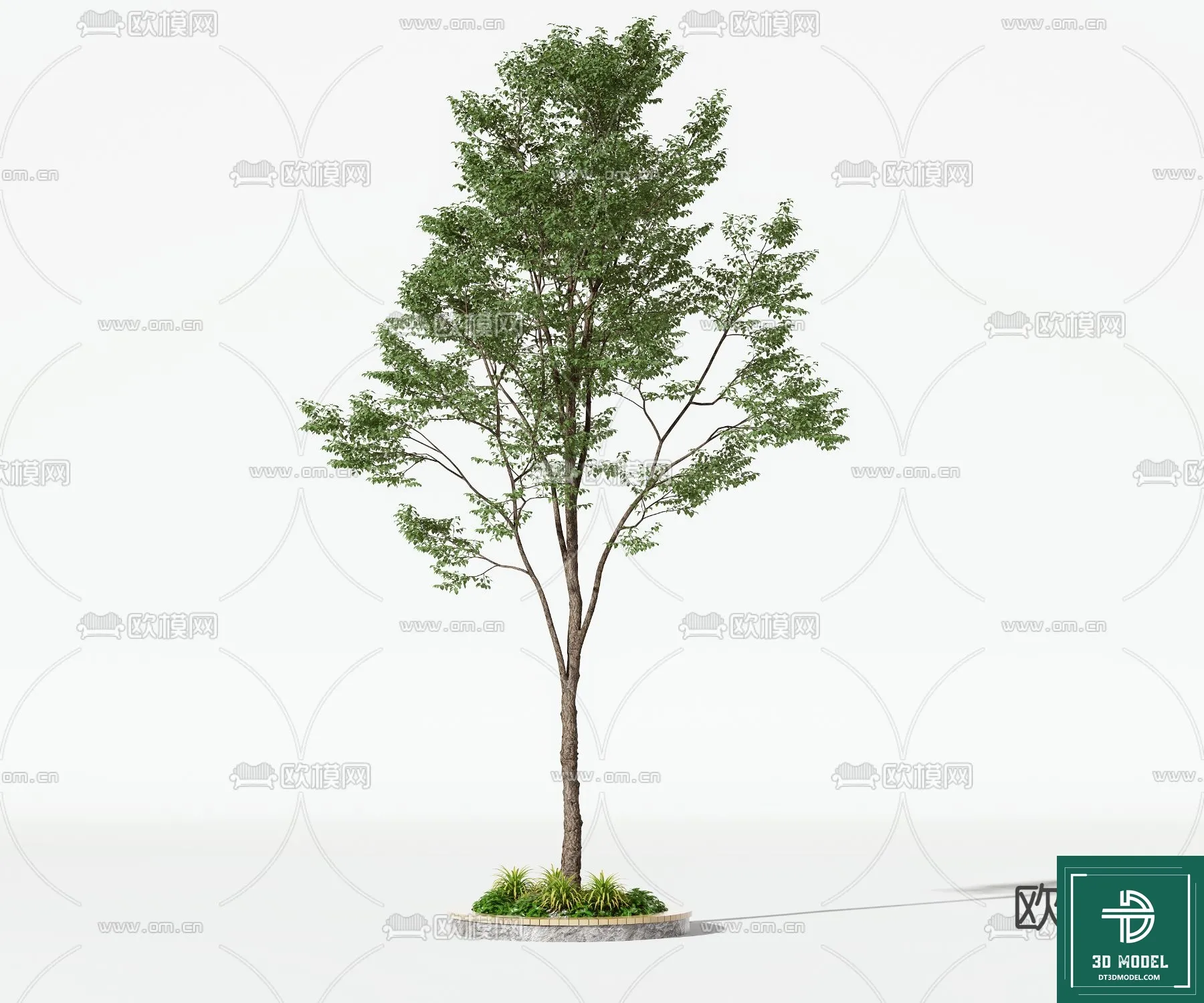 Tree 3D Models – Exterior and Architecture 3DS Max – 064