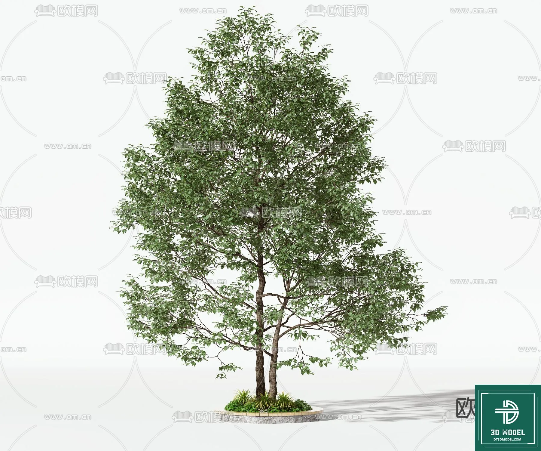 Tree 3D Models – Exterior and Architecture 3DS Max – 065