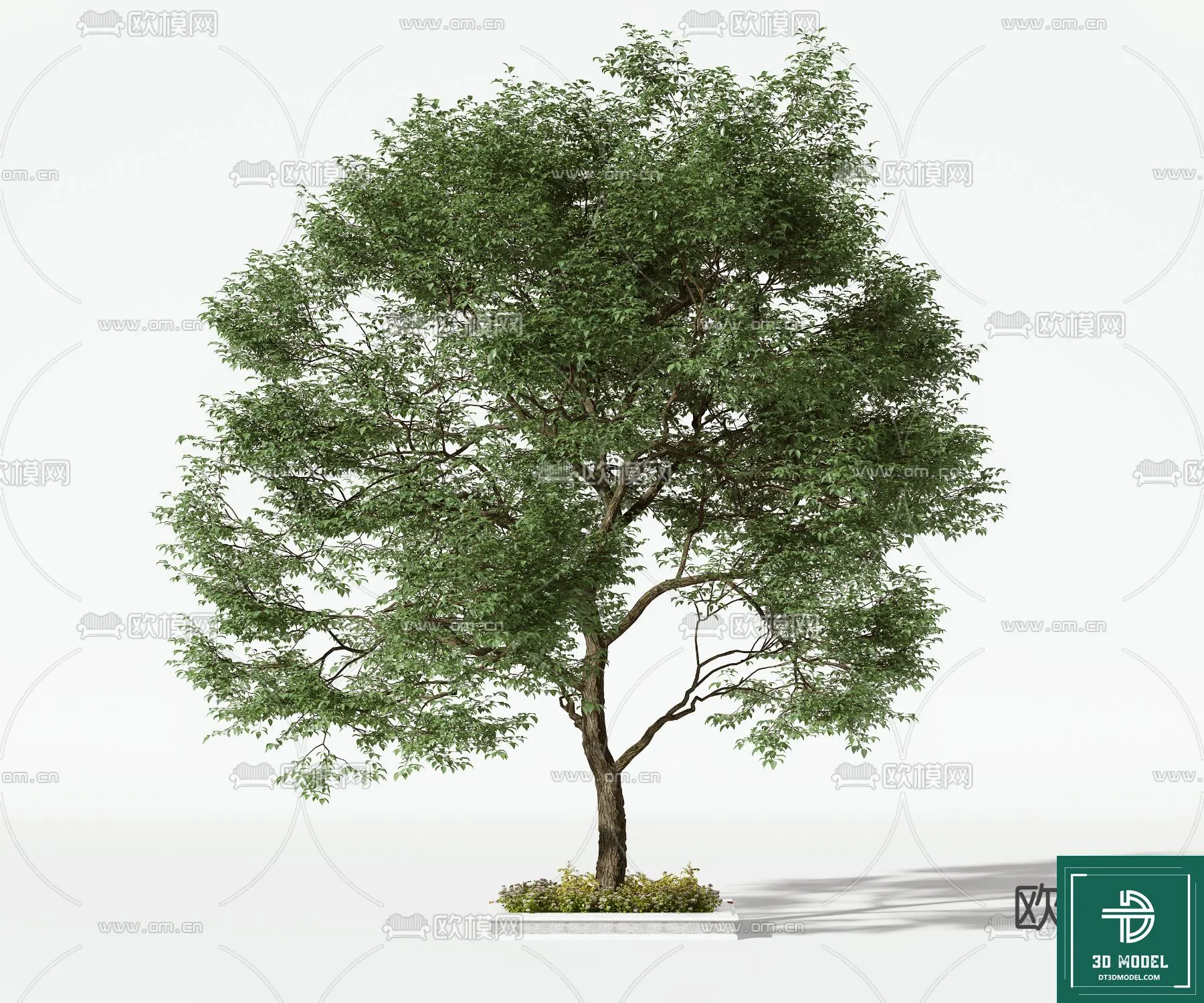 Tree 3D Models – Exterior and Architecture 3DS Max – 067