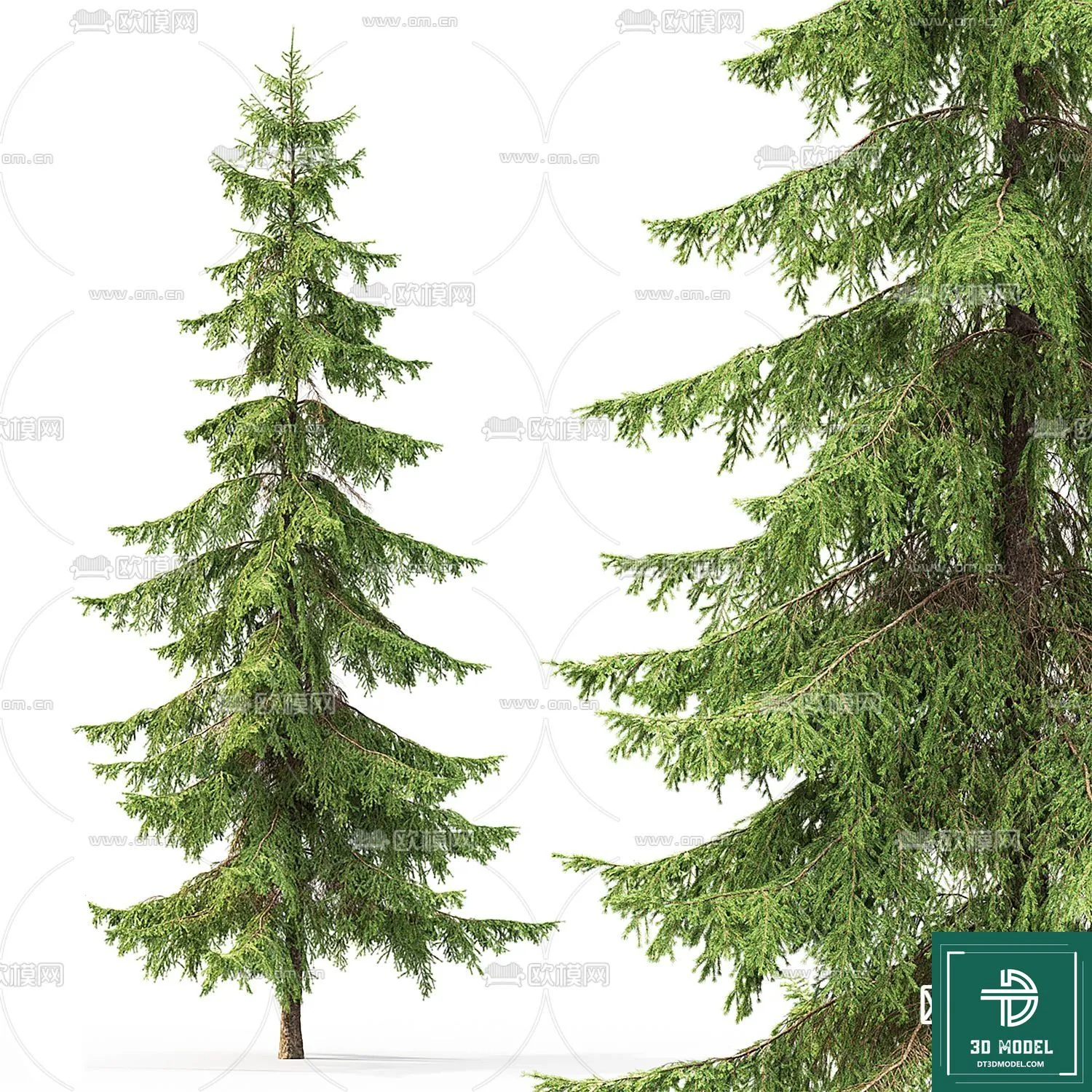 Tree 3D Models – Exterior and Architecture 3DS Max – 072