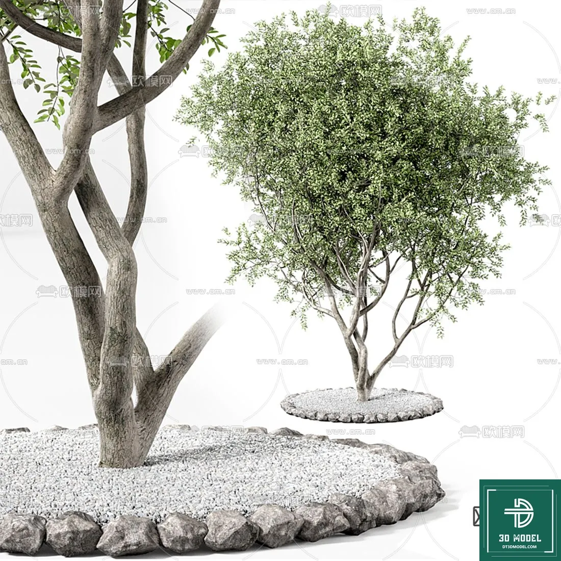 Tree 3D Models – Exterior and Architecture 3DS Max – 077