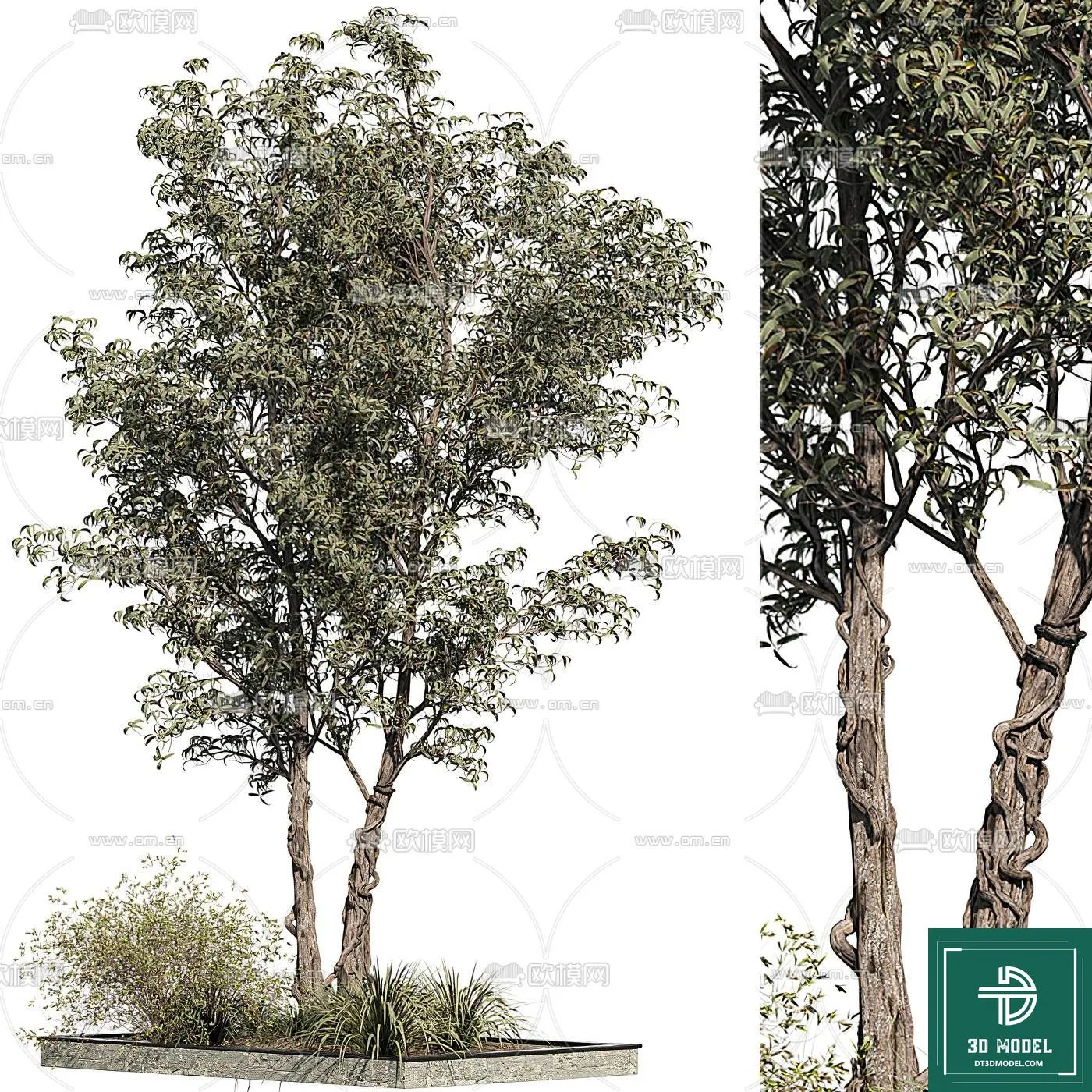 Tree 3D Models – Exterior and Architecture 3DS Max – 082