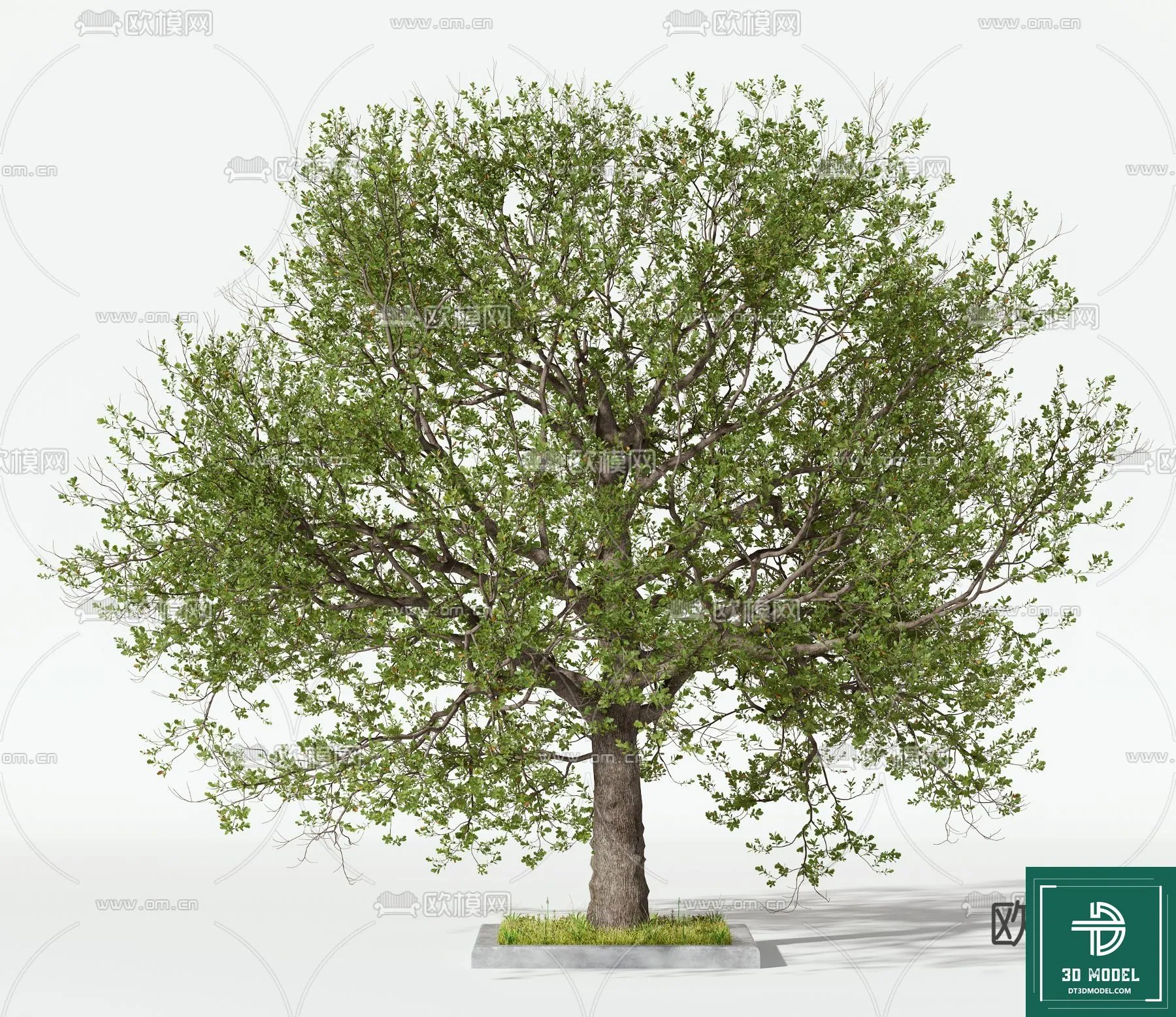 Tree 3D Models – Exterior and Architecture 3DS Max – 086