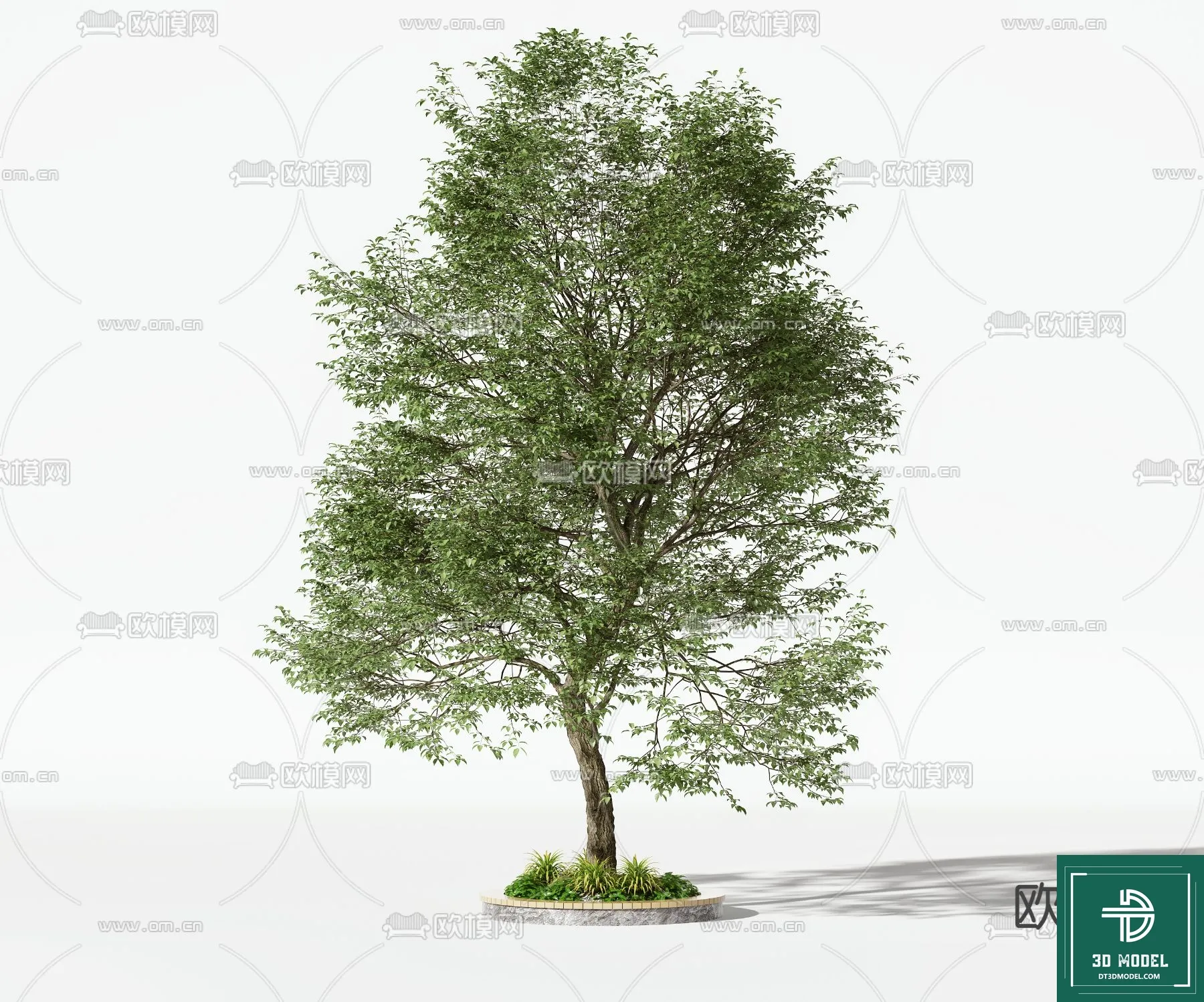 Tree 3D Models – Exterior and Architecture 3DS Max – 087