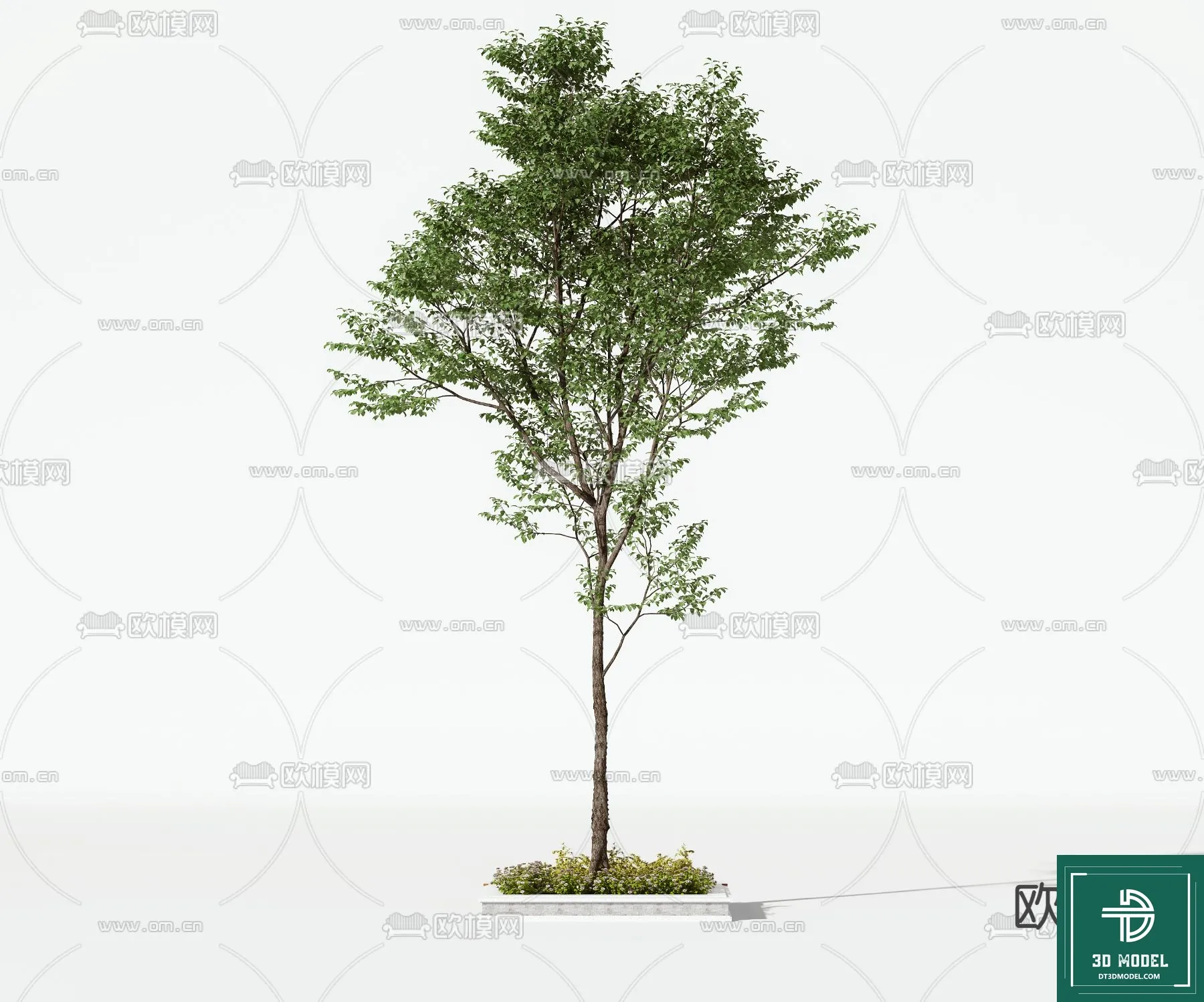 Tree 3D Models – Exterior and Architecture 3DS Max – 088