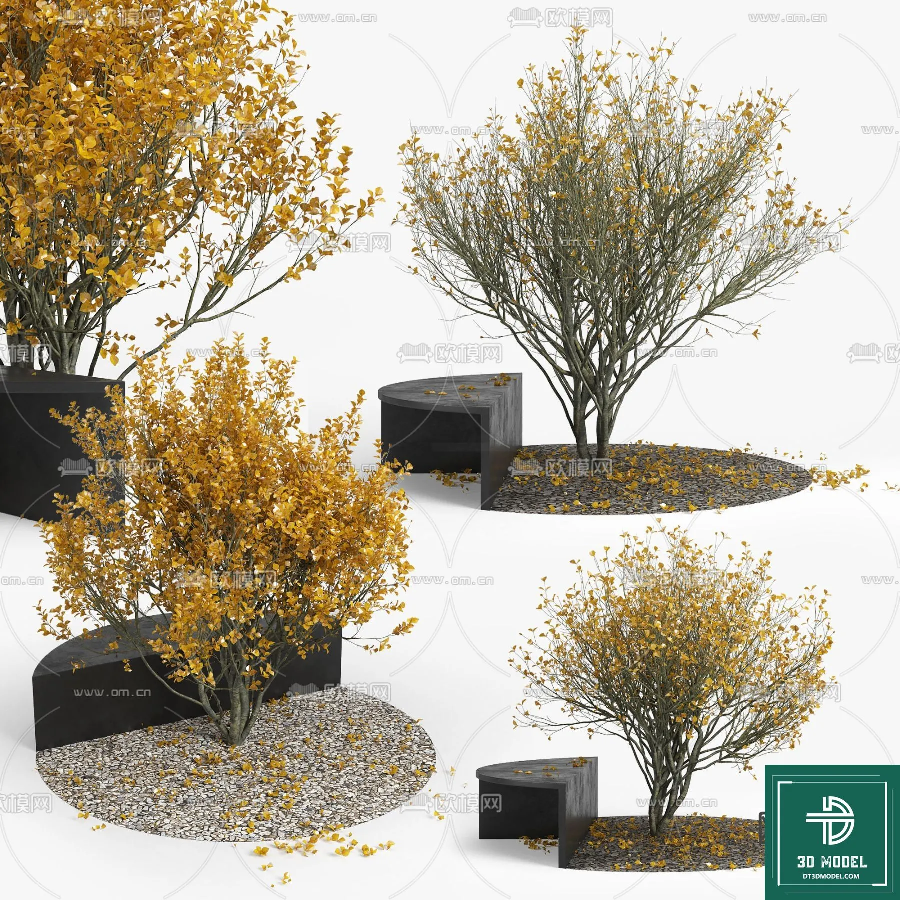 Tree 3D Models – Exterior and Architecture 3DS Max – 090