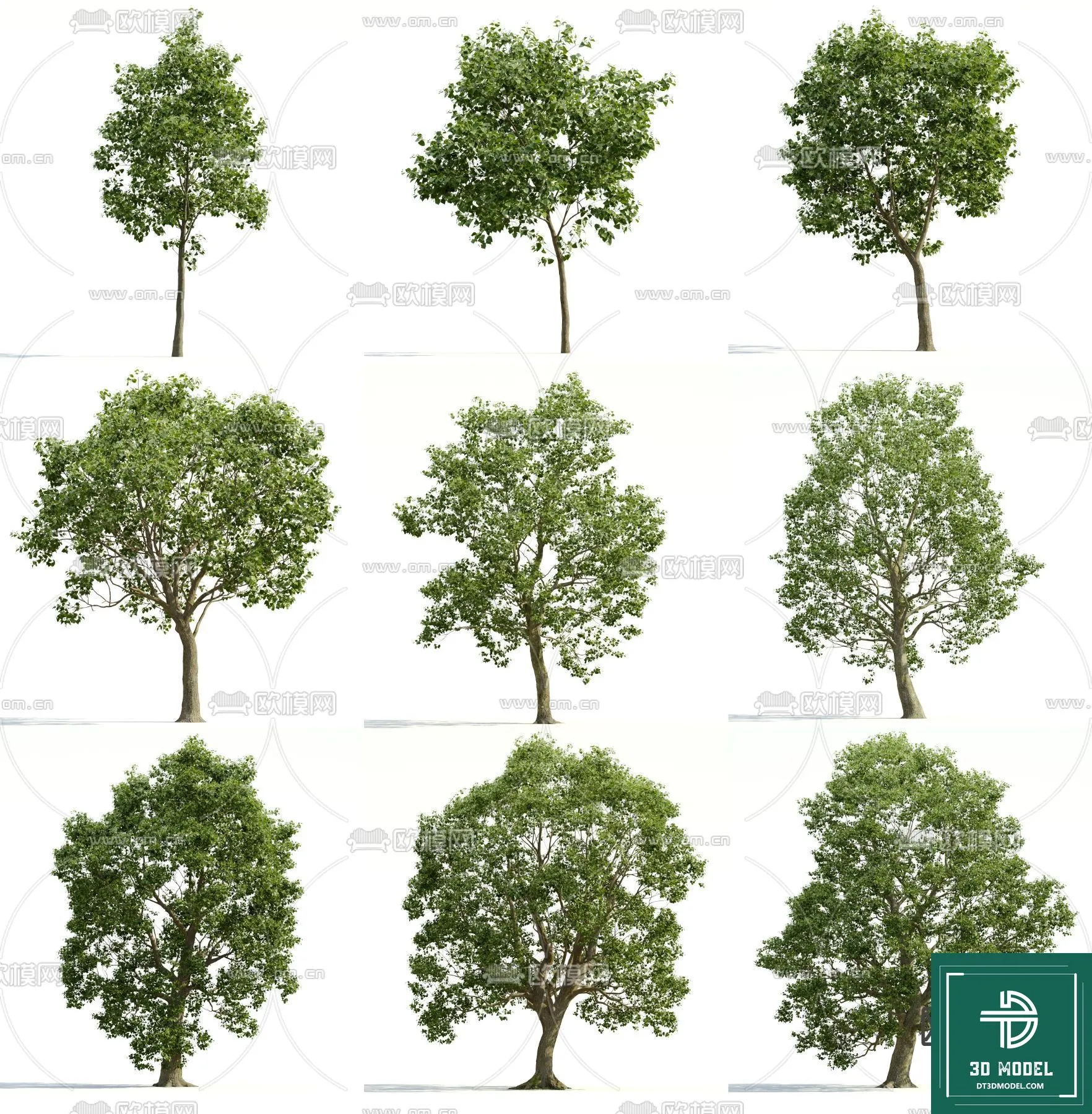 Tree 3D Models – Exterior and Architecture 3DS Max – 092