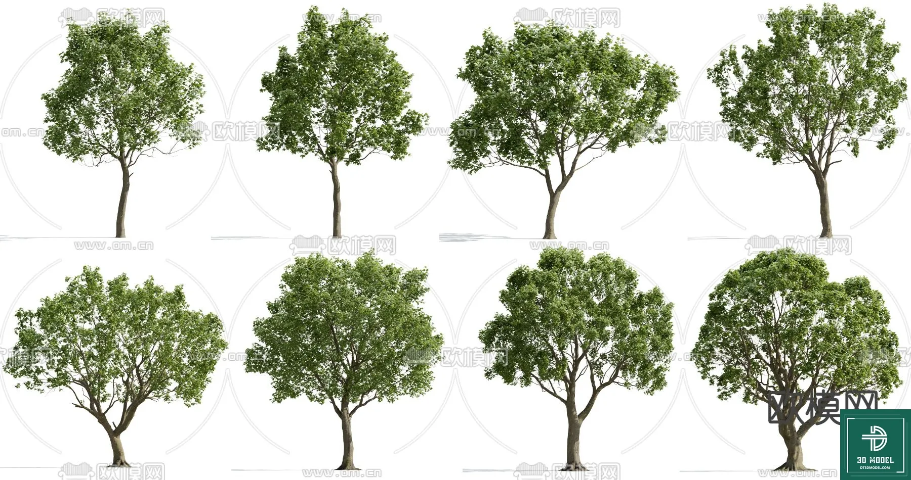 Tree 3D Models – Exterior and Architecture 3DS Max – 093