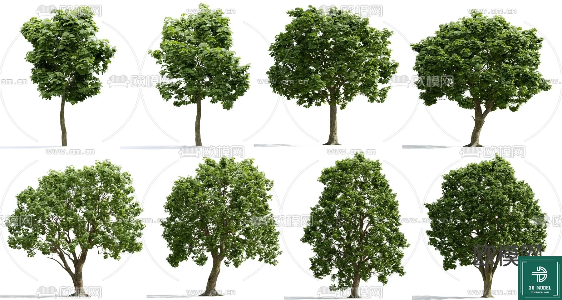 Tree 3D Models – Exterior and Architecture 3DS Max – 094