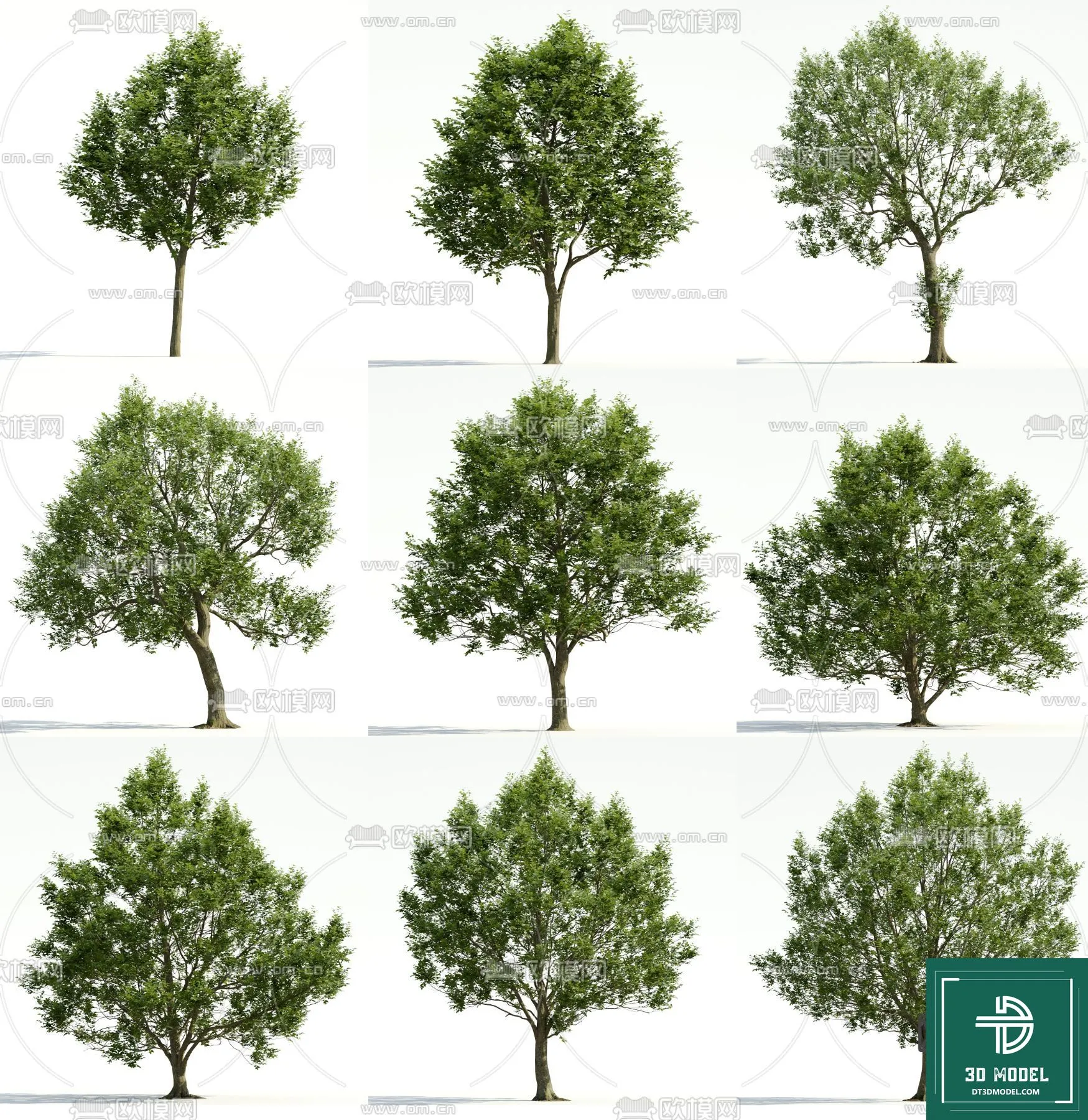 Tree 3D Models – Exterior and Architecture 3DS Max – 095