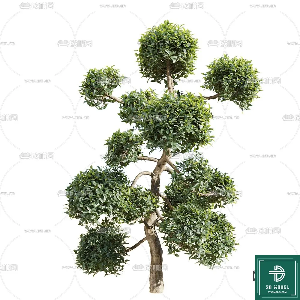 Tree 3D Models – Exterior and Architecture 3DS Max – 097