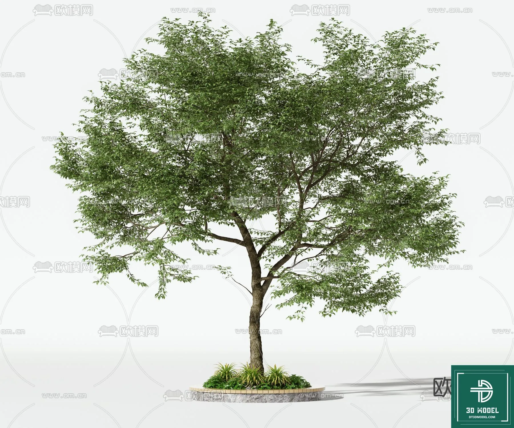 Tree 3D Models – Exterior and Architecture 3DS Max – 098