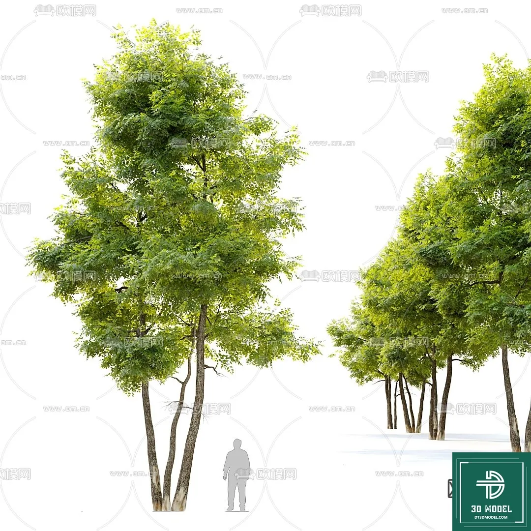 Tree 3D Models – Exterior and Architecture 3DS Max – 102