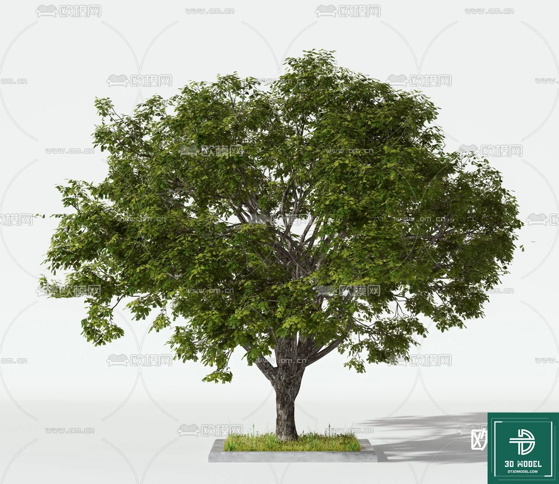 Tree 3D Models – Exterior and Architecture 3DS Max – 103