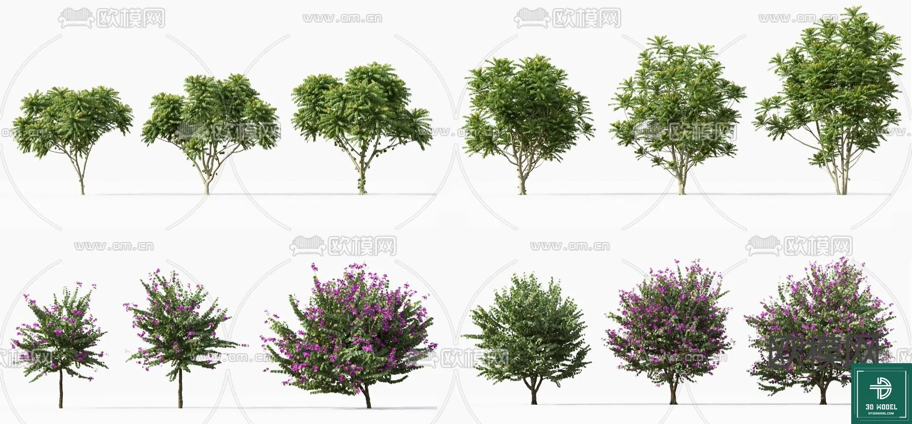 Tree 3D Models – Exterior and Architecture 3DS Max – 105