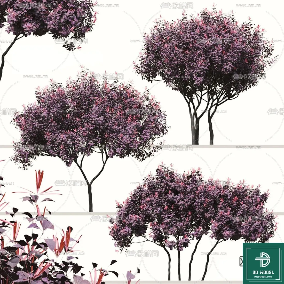 Tree 3D Models – Exterior and Architecture 3DS Max – 106