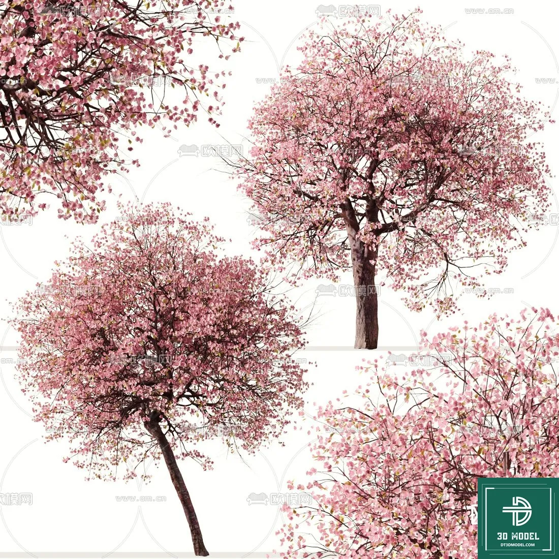 Tree 3D Models – Exterior and Architecture 3DS Max – 107