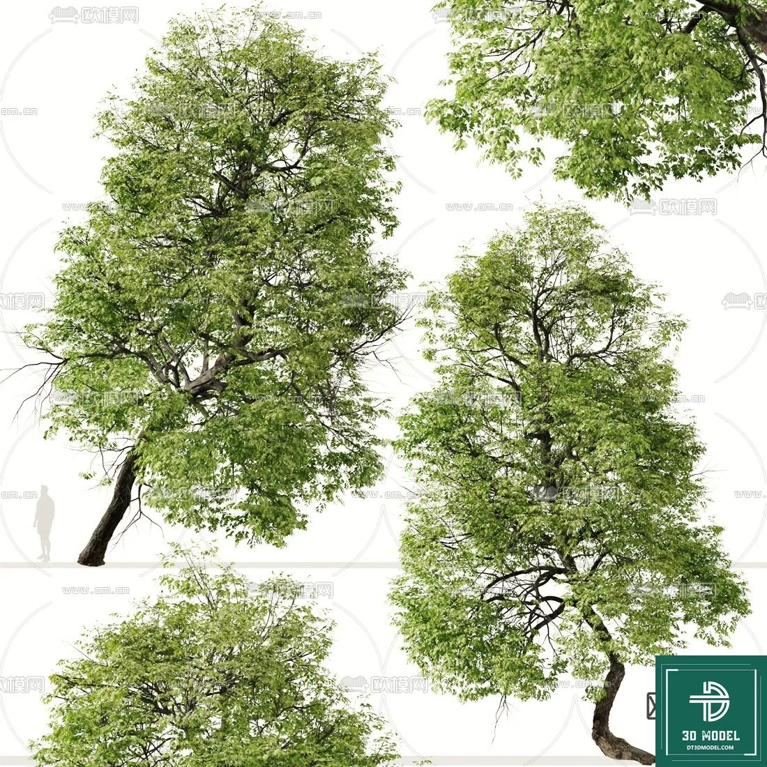 Tree 3D Models – Exterior and Architecture 3DS Max – 108