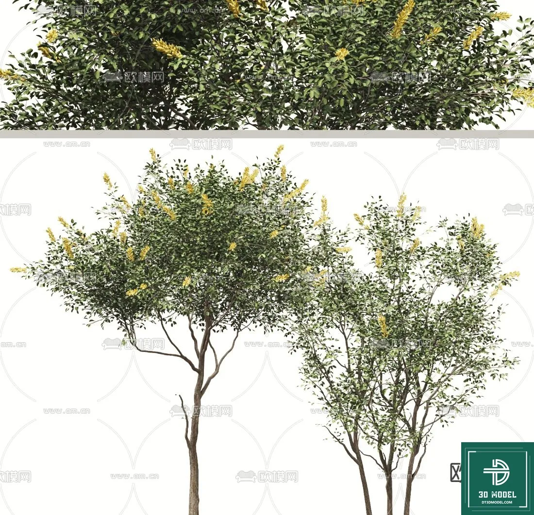 Tree 3D Models – Exterior and Architecture 3DS Max – 109