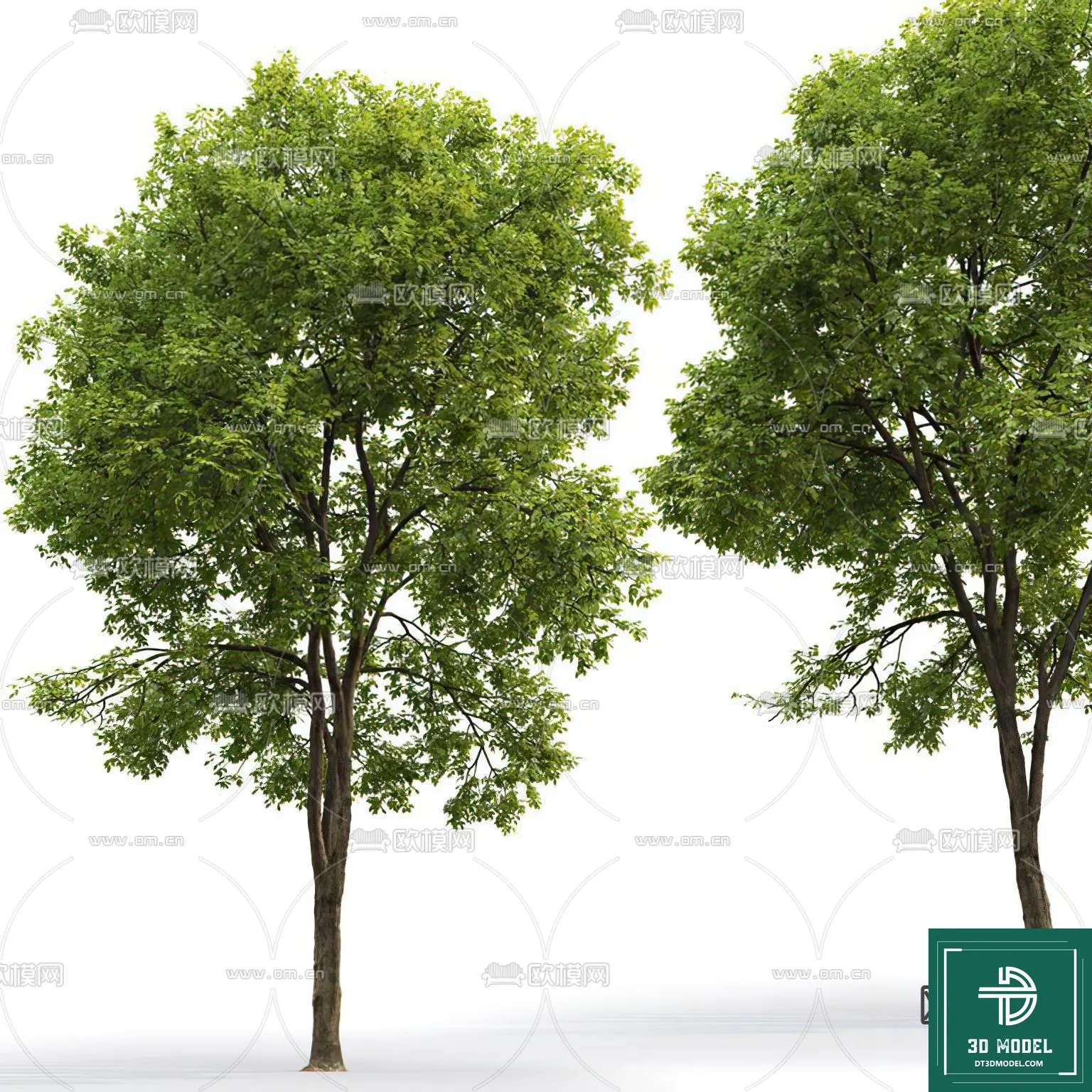 Tree 3D Models – Exterior and Architecture 3DS Max – 112