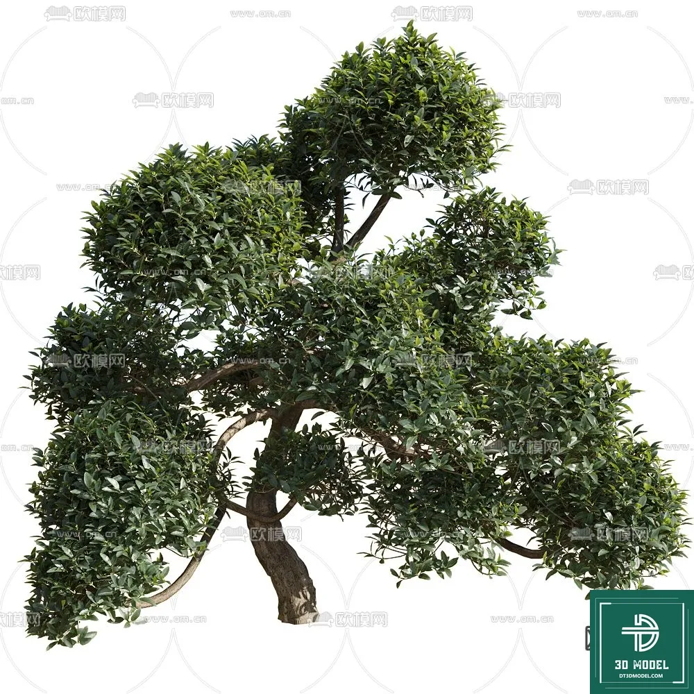 Tree 3D Models – Exterior and Architecture 3DS Max – 113