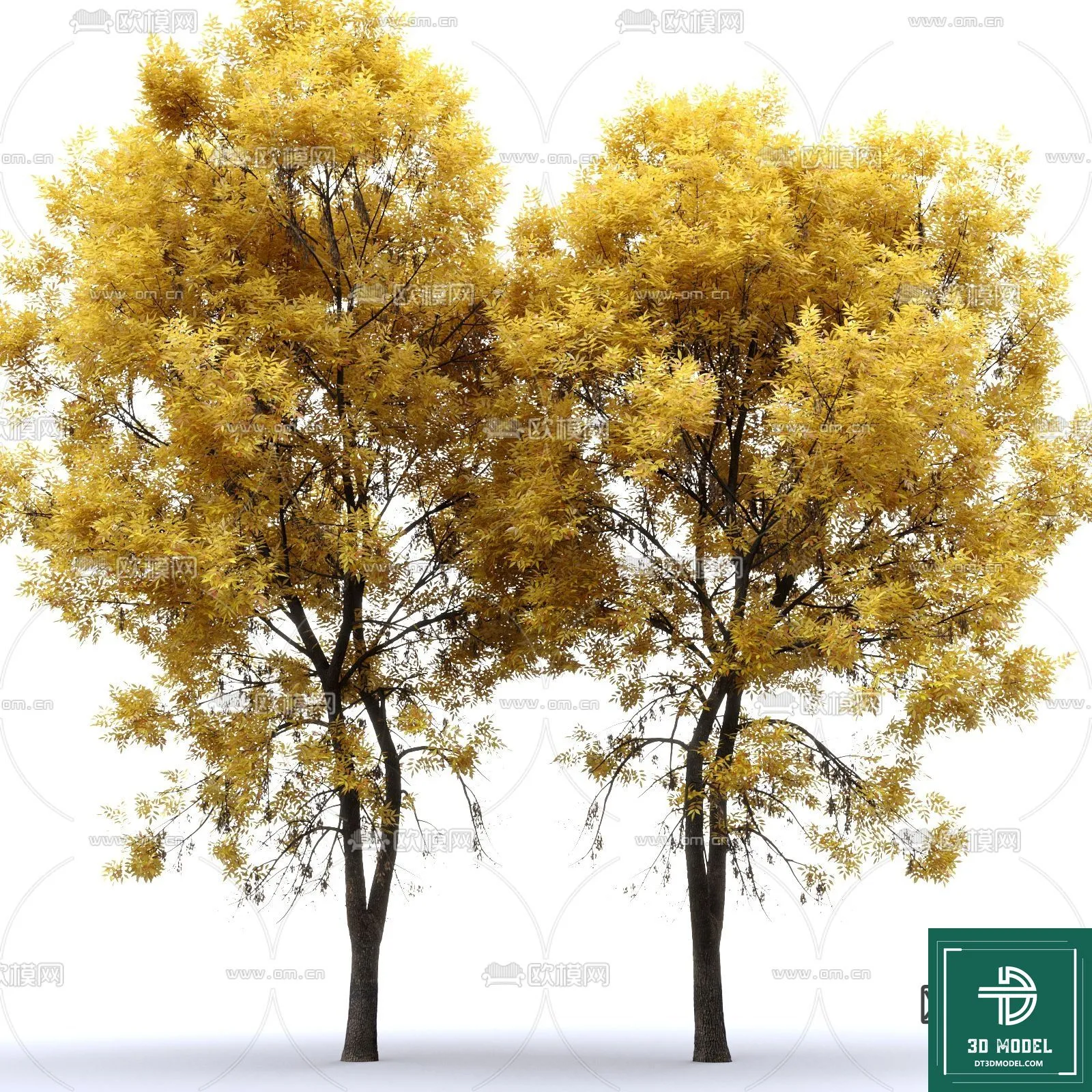 Tree 3D Models – Exterior and Architecture 3DS Max – 119