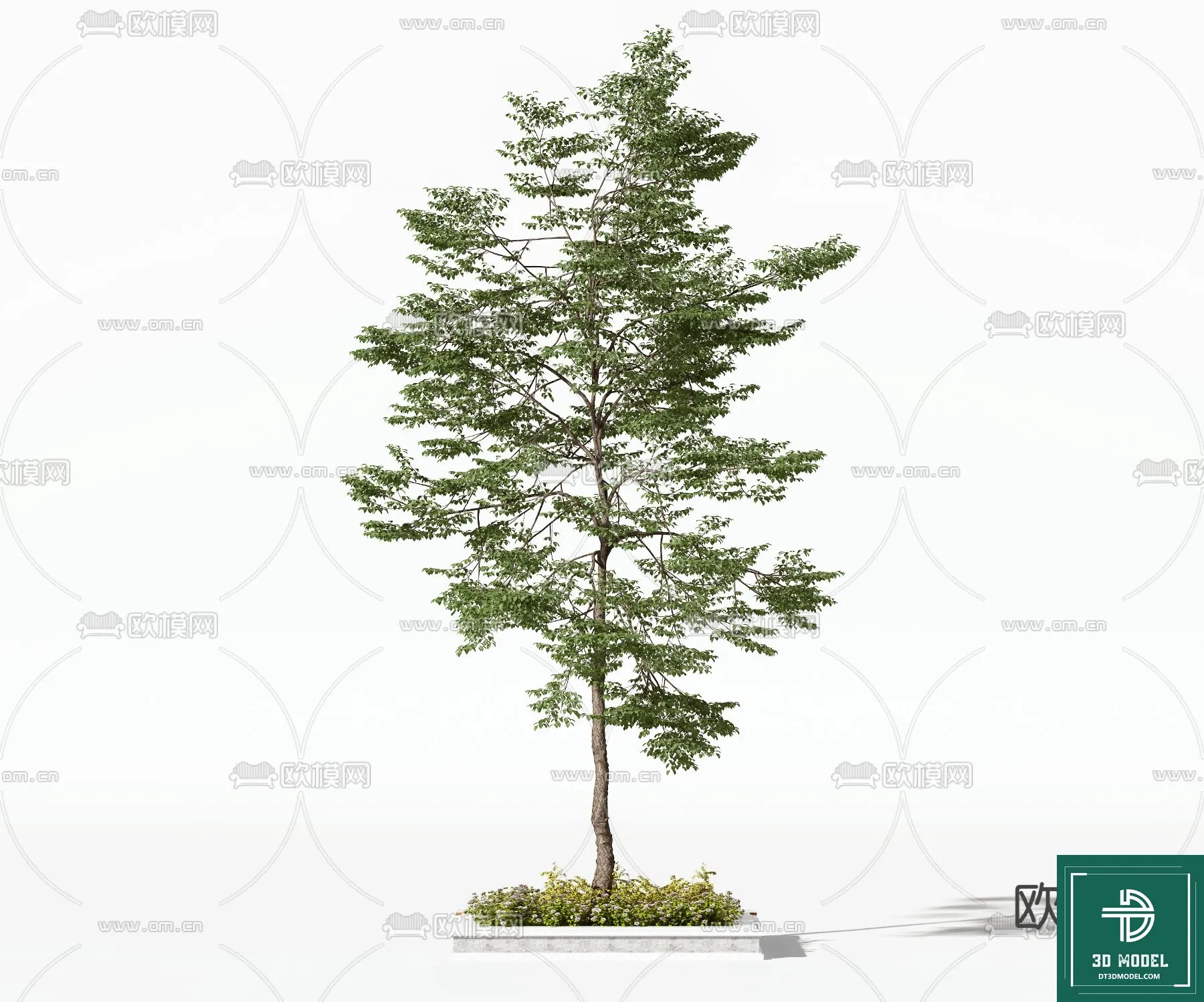 Tree 3D Models – Exterior and Architecture 3DS Max – 128