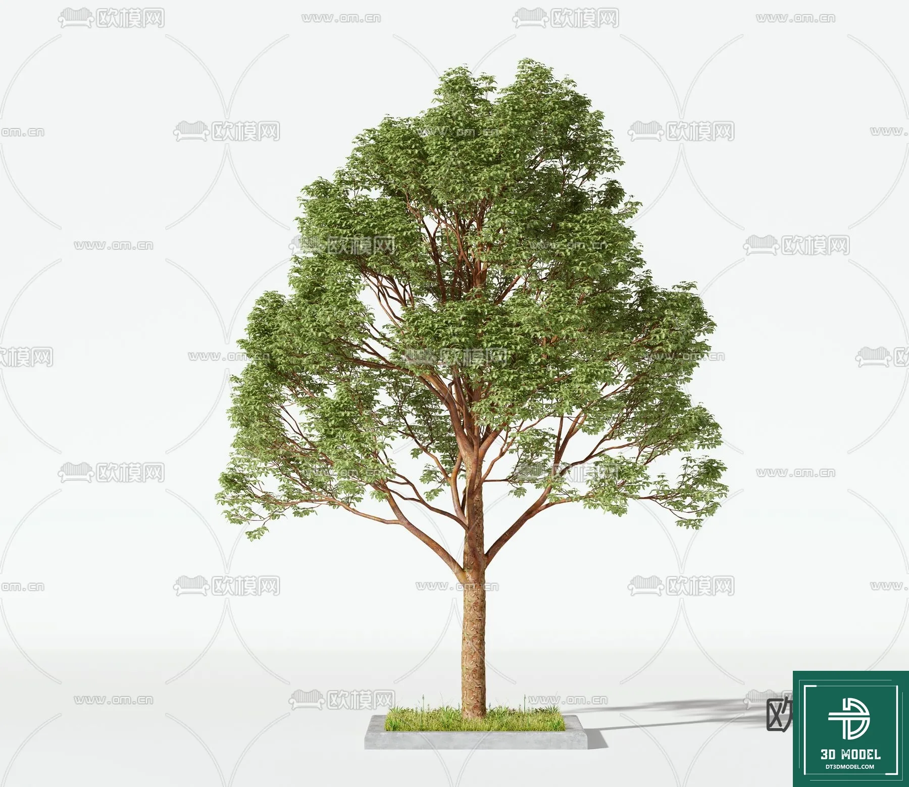 Tree 3D Models – Exterior and Architecture 3DS Max – 129