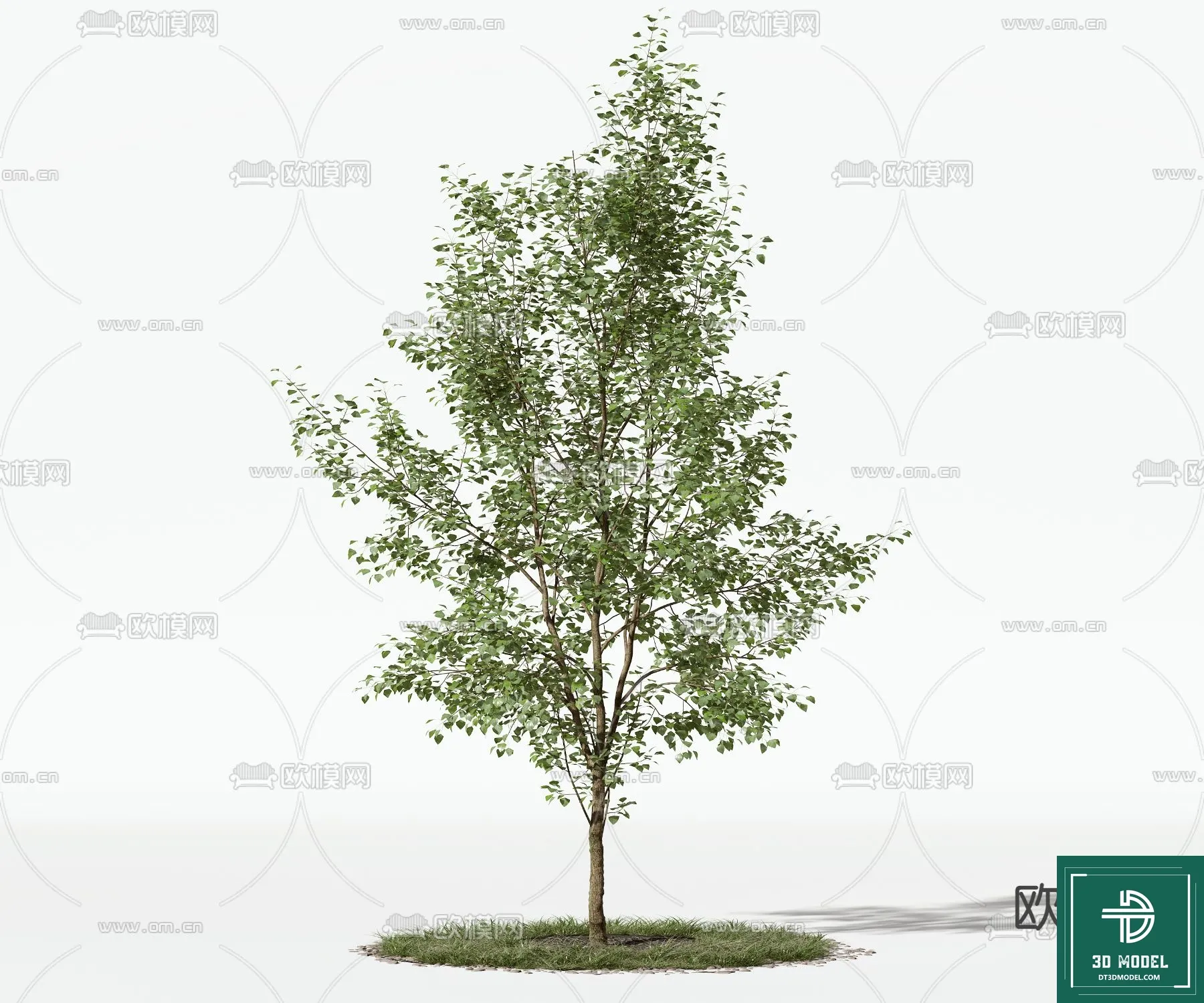 Tree 3D Models – Exterior and Architecture 3DS Max – 130