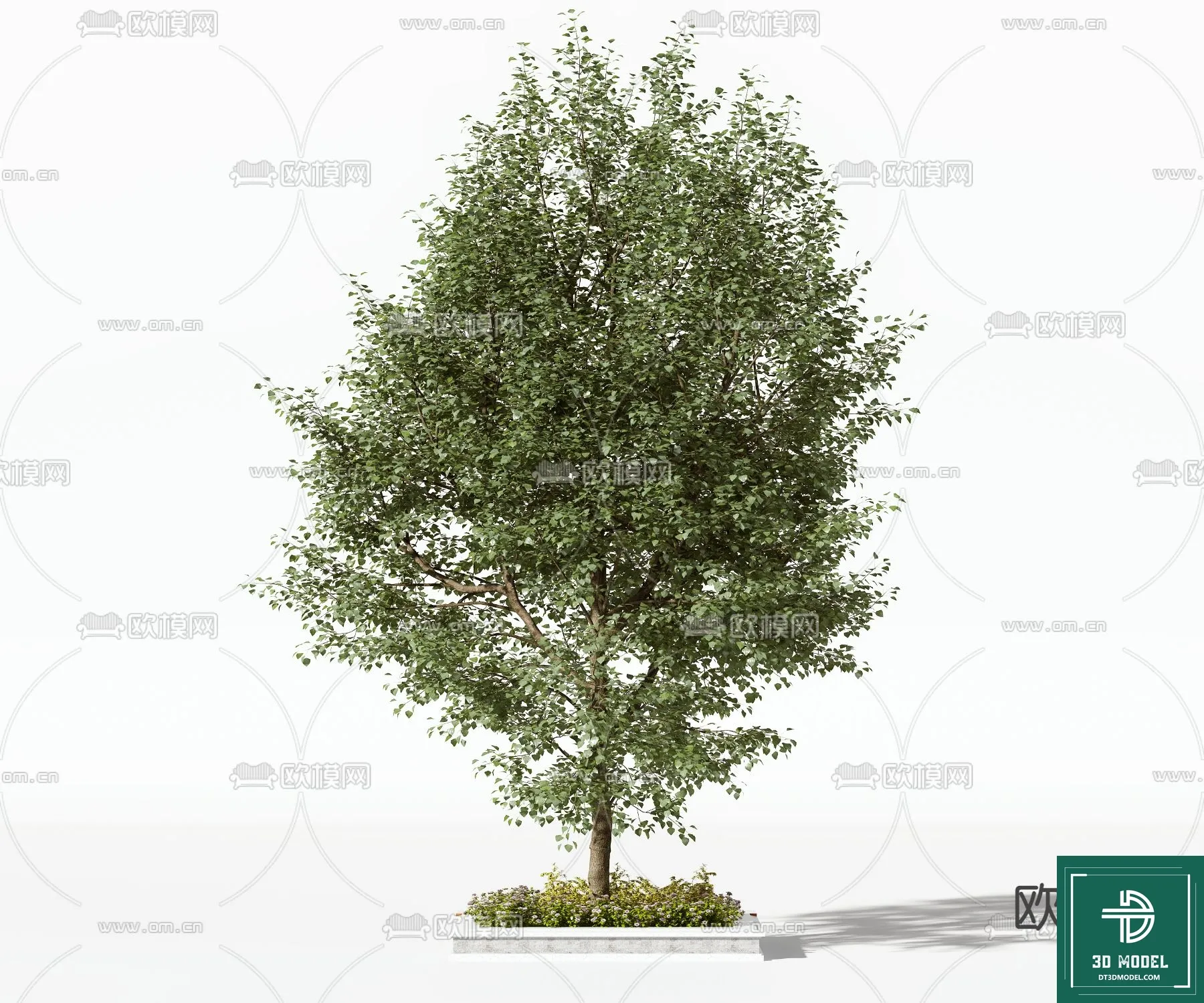 Tree 3D Models – Exterior and Architecture 3DS Max – 131