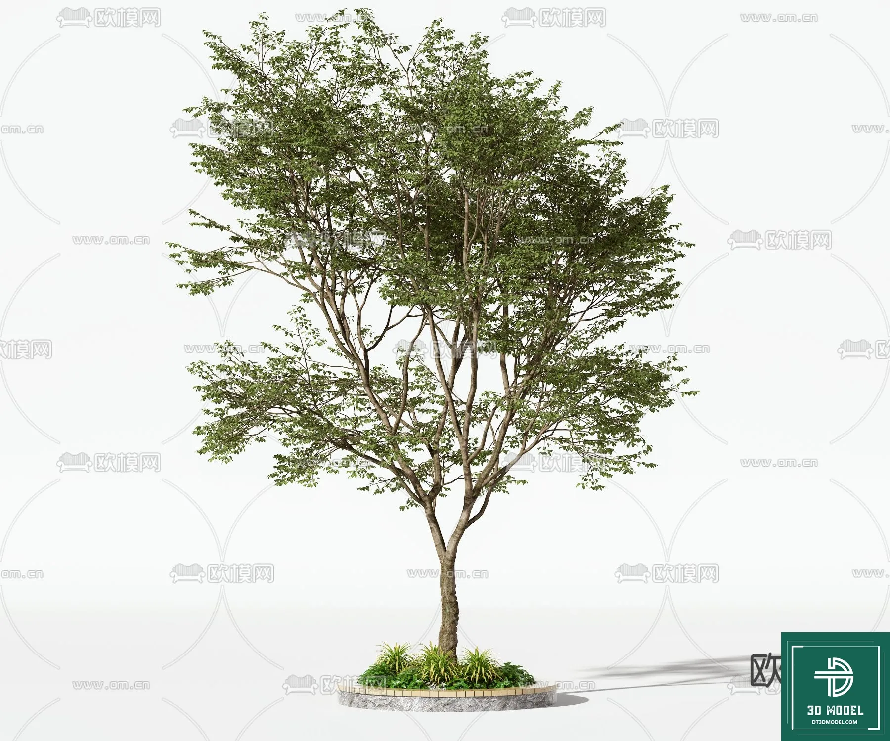 Tree 3D Models – Exterior and Architecture 3DS Max – 134