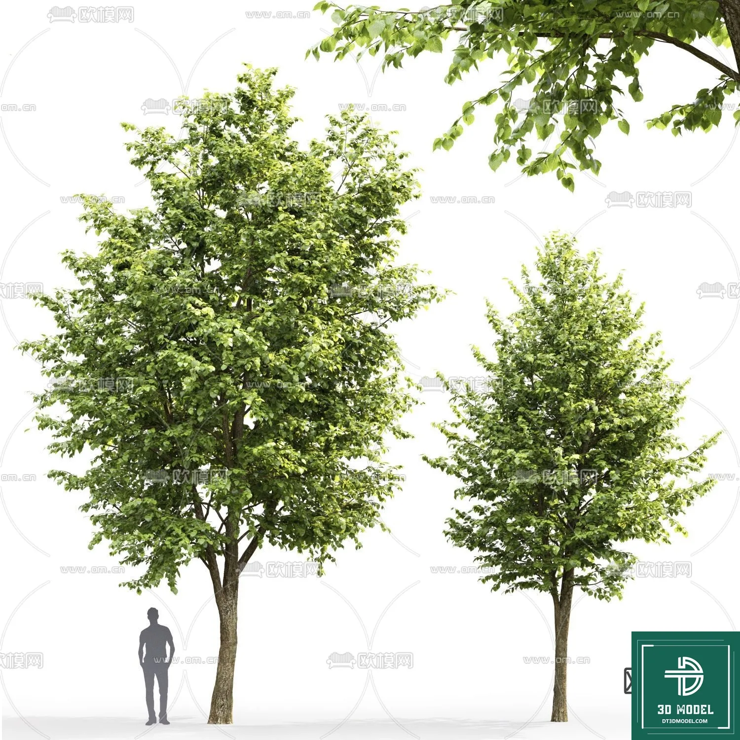 Tree 3D Models – Exterior and Architecture 3DS Max – 141