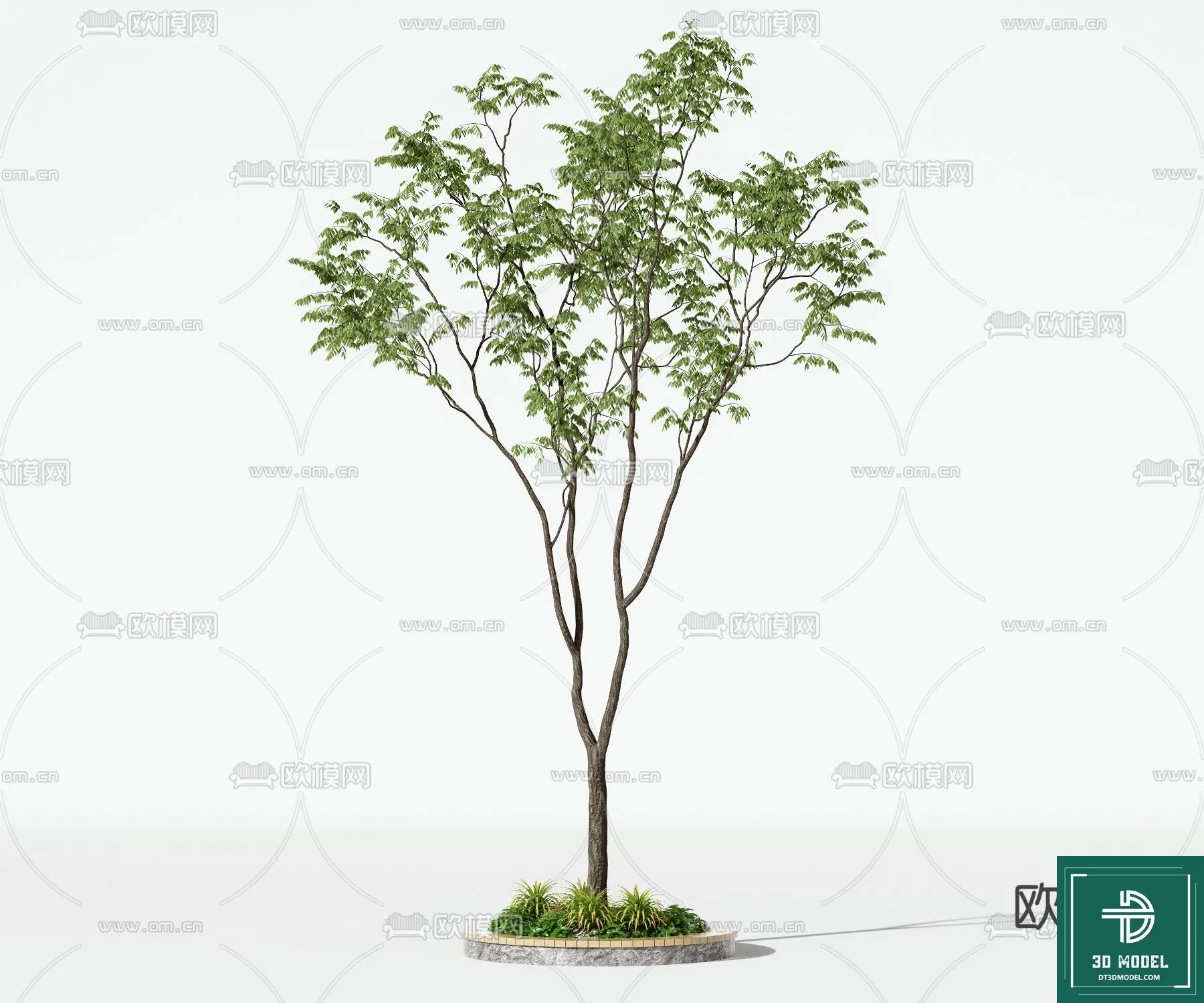 Tree 3D Models – Exterior and Architecture 3DS Max – 145