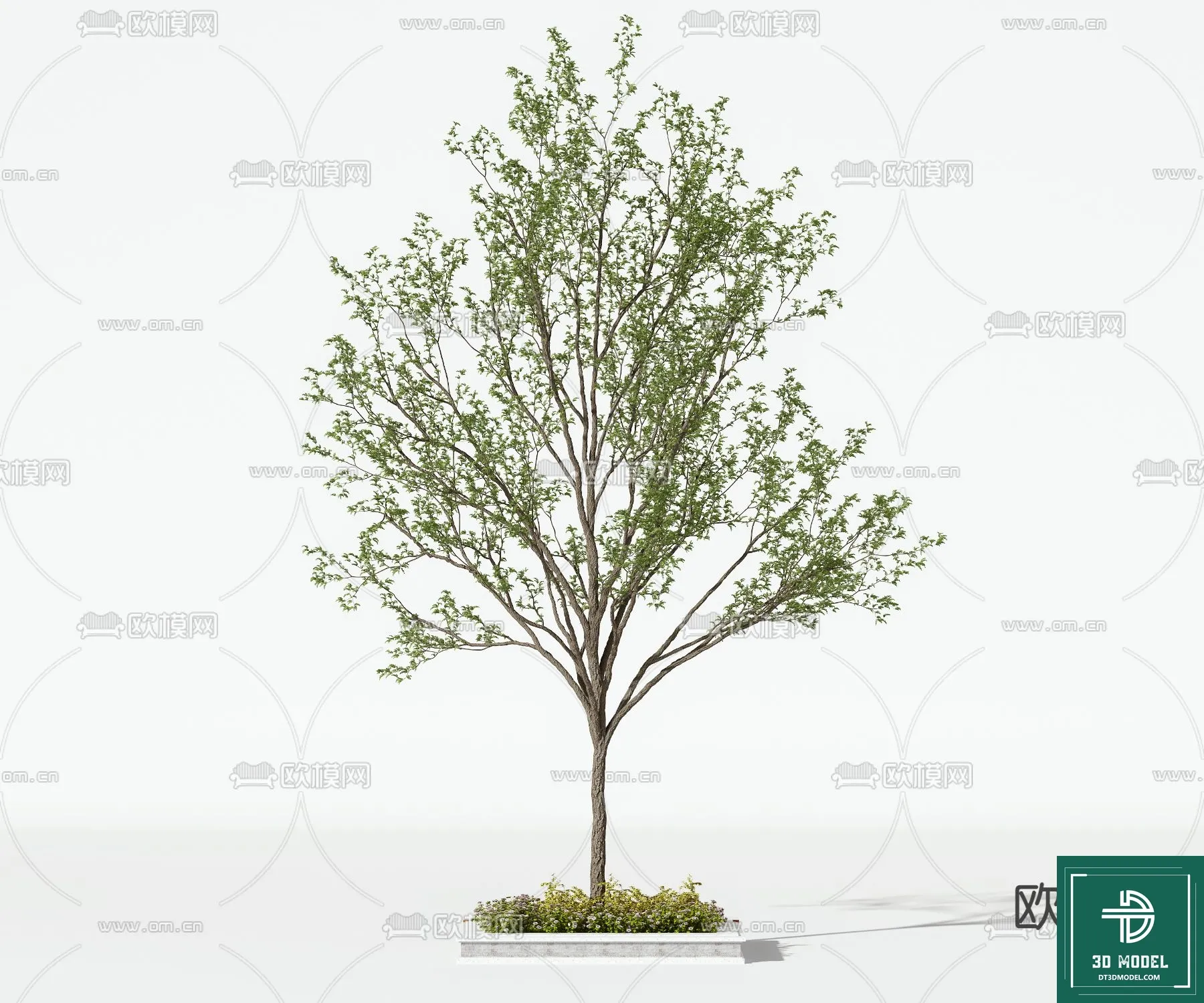 Tree 3D Models – Exterior and Architecture 3DS Max – 146