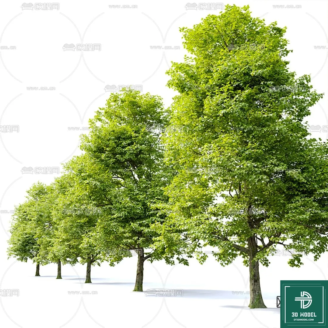 Tree 3D Models – Exterior and Architecture 3DS Max – 149