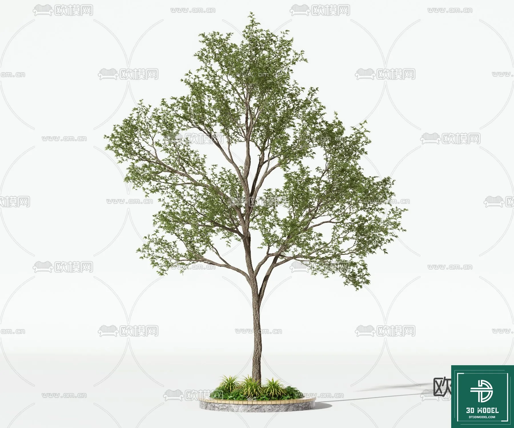 Tree 3D Models – Exterior and Architecture 3DS Max – 151