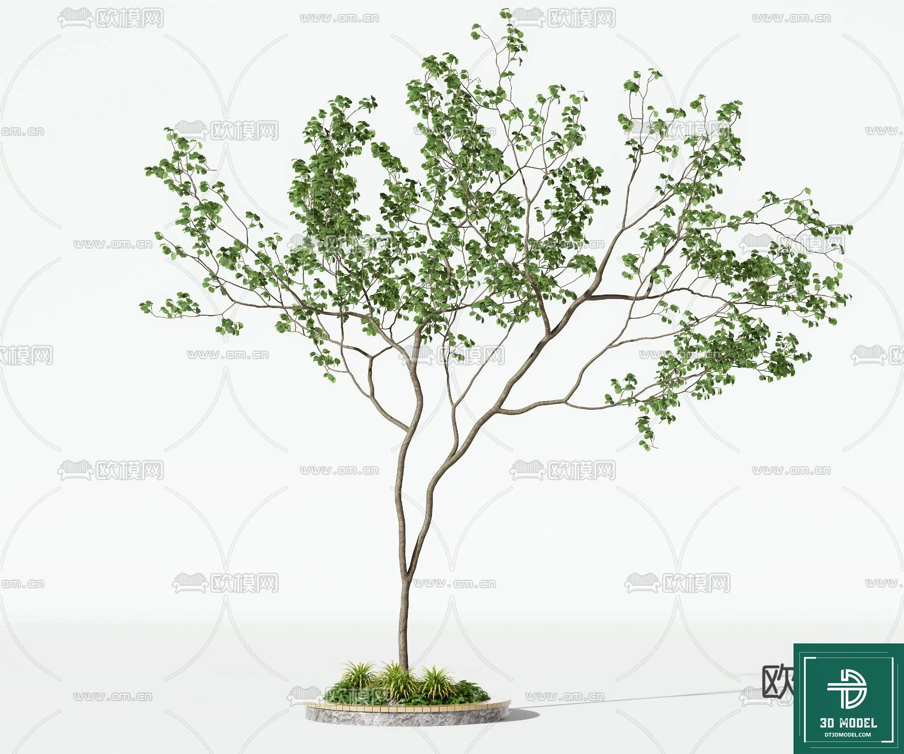 Tree 3D Models – Exterior and Architecture 3DS Max – 152