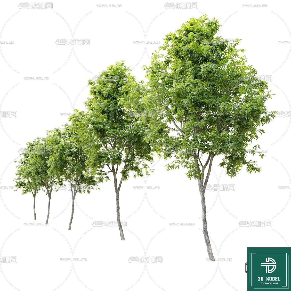 Tree 3D Models – Exterior and Architecture 3DS Max – 157